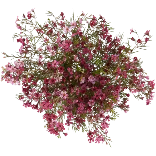 69e75e3b0b8b00e2a21654c7