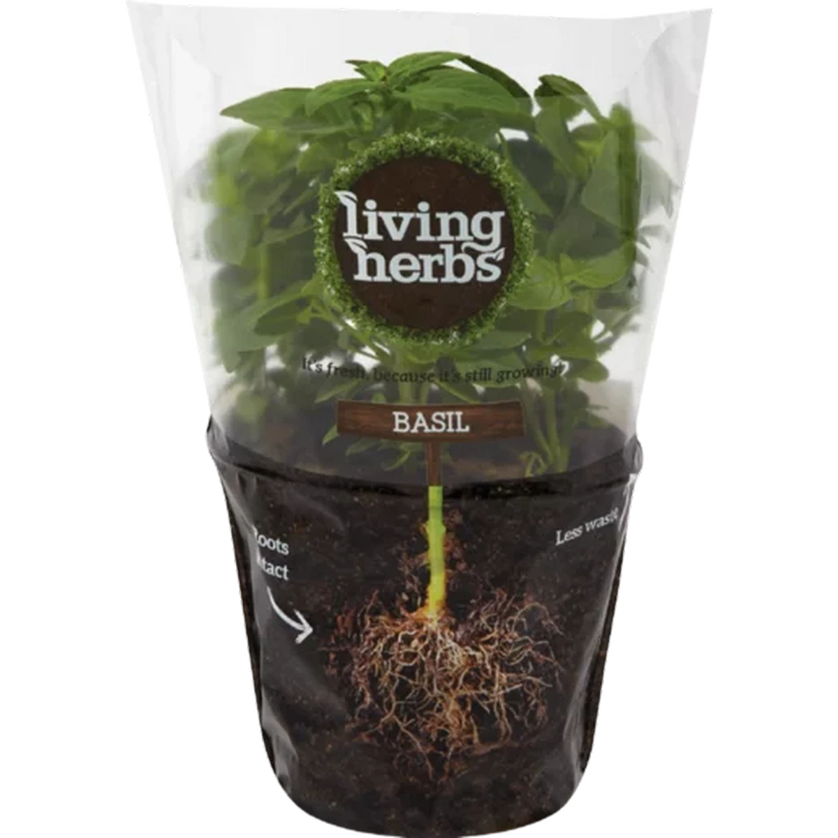 Checkers Sixty60 | Living Herbs Basil