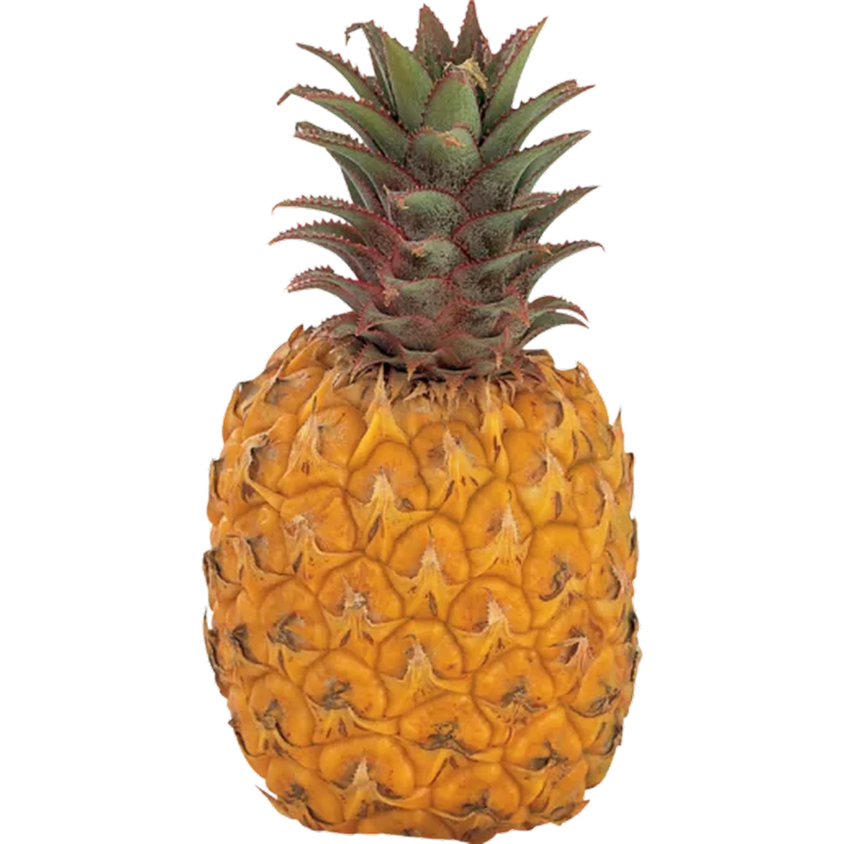 63e2a38016c7ec59033f332d?width