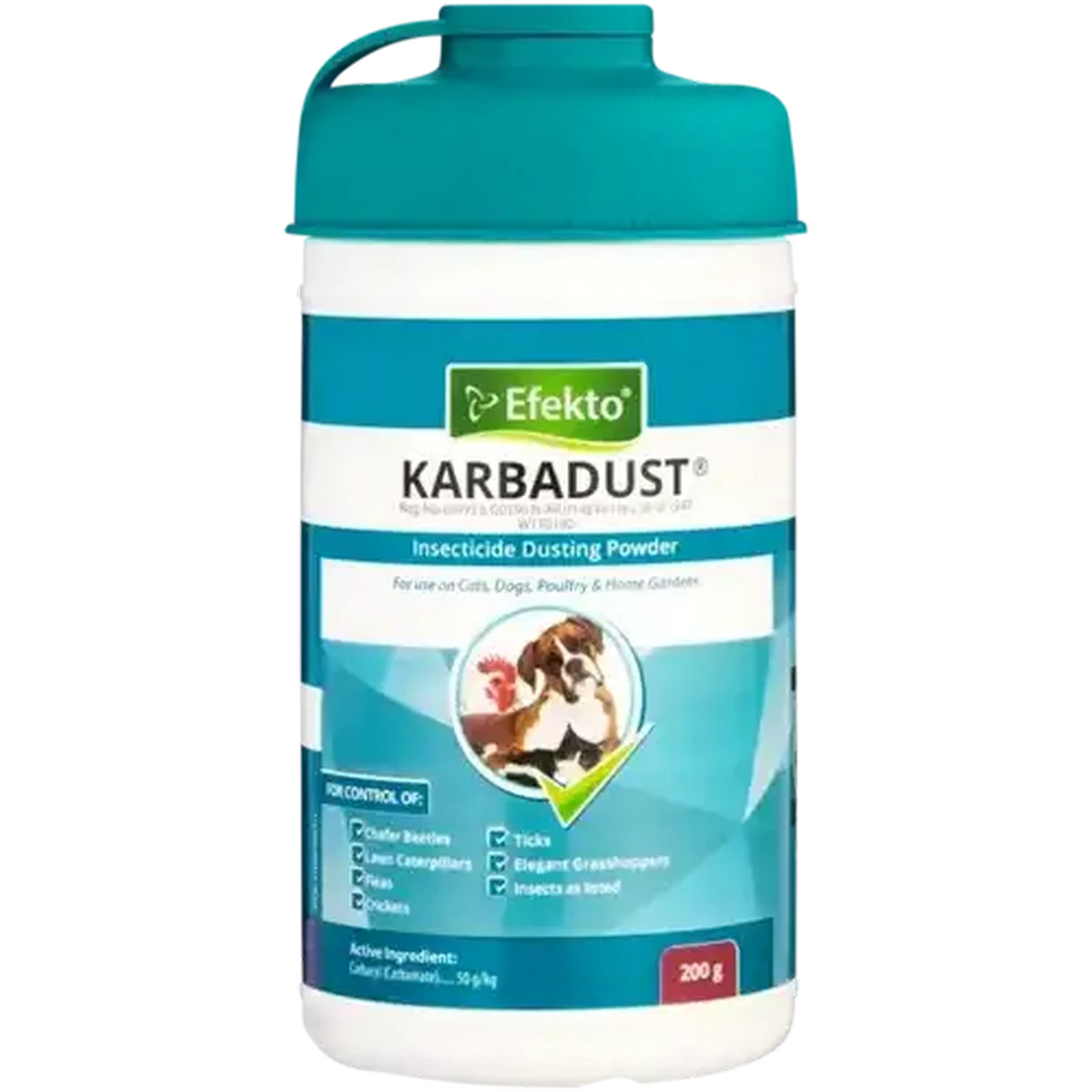 Checkers Sixty60 | Efekto Karbadust Dust Insecticide 200g