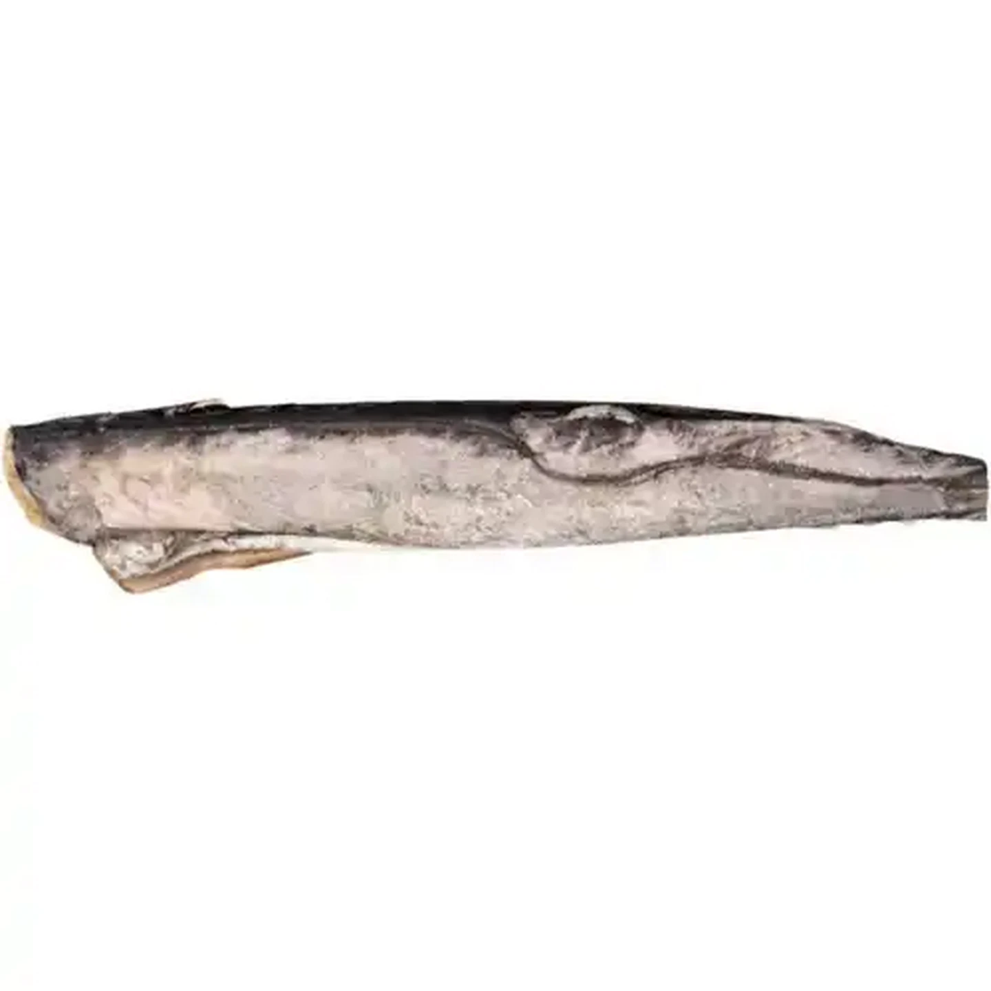 Image of Frozen Snoek Per KG