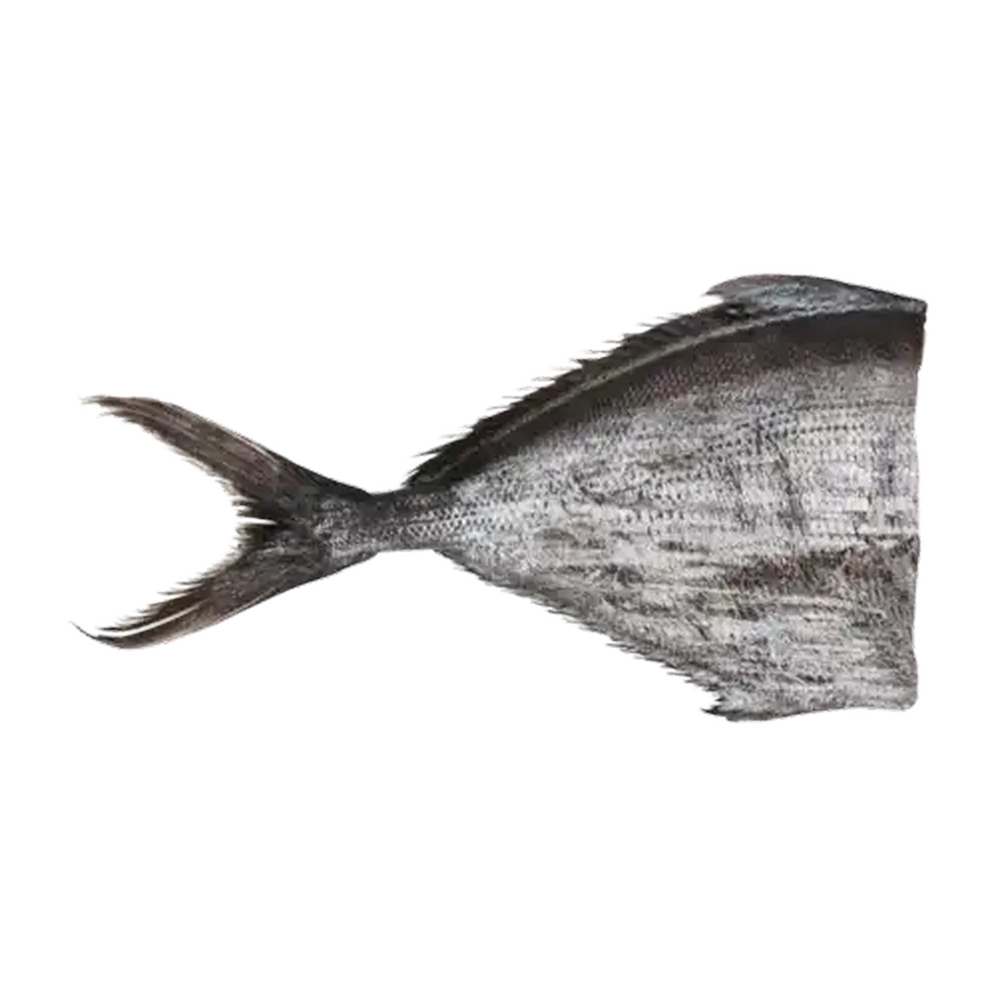 Image of Frozen Angelfish (Head Off) Per kg