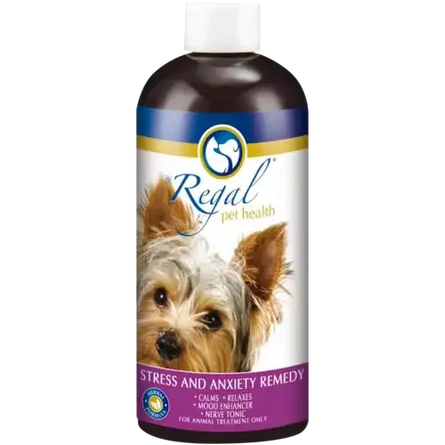 Anxiety Keeps Some Smokers From Quitting Australia