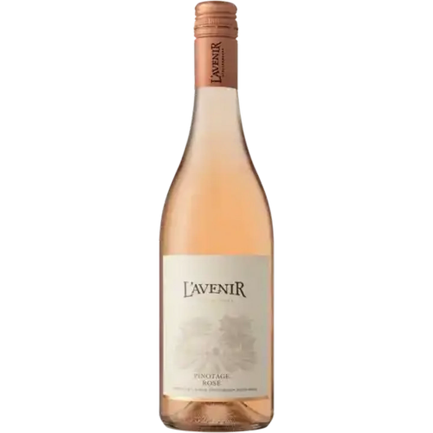 洋楽 Shelly /  Rose Excel Shelly - Snow Rose Excel - YouTube