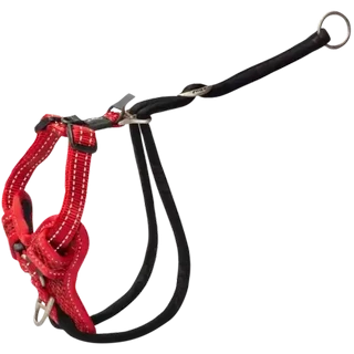 Checkers Sixty60 | Rogz Large Yellow Stop Pull Dog Harness