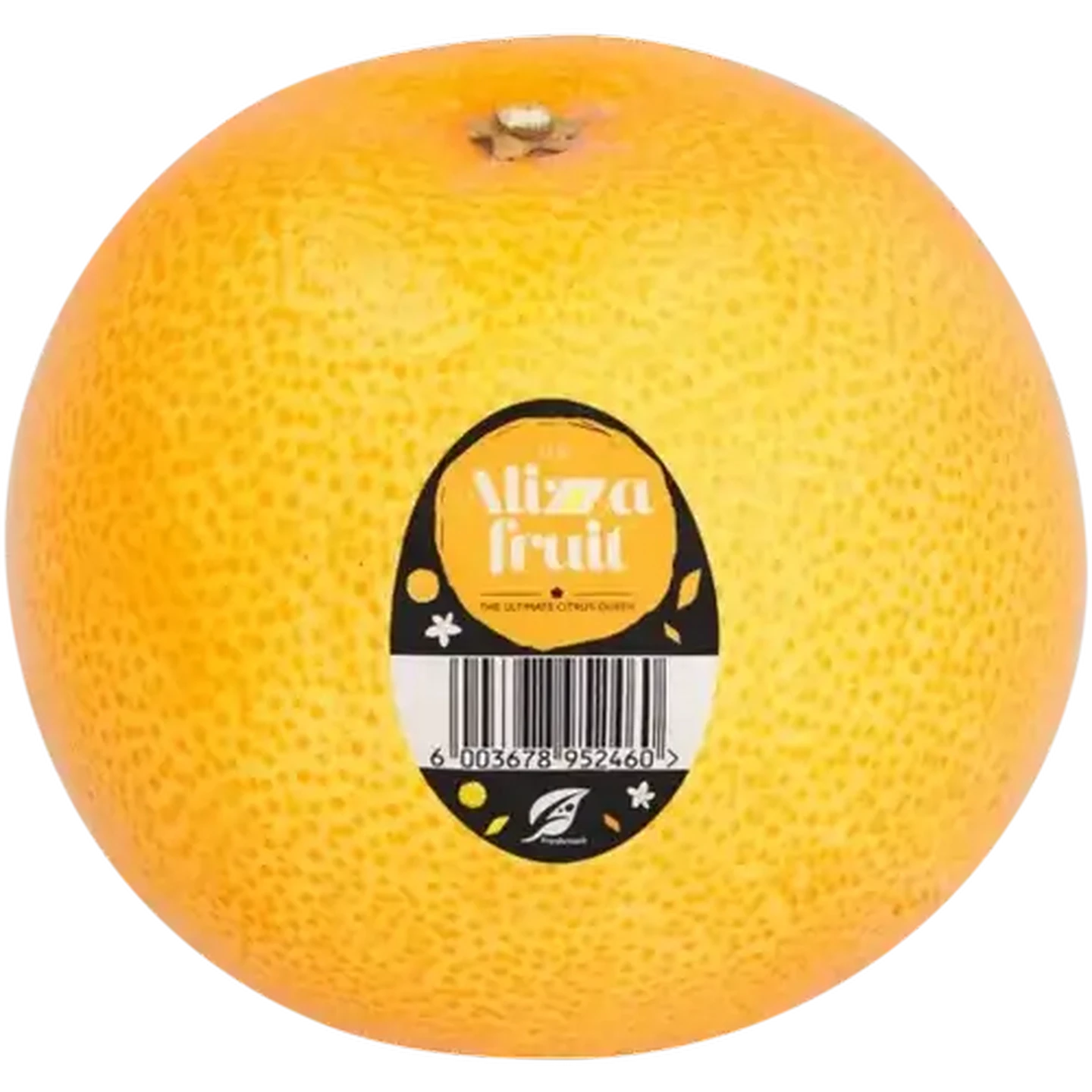 Checkers Sixty60 | The Alizza Fruit Citrus Hybrid 1s