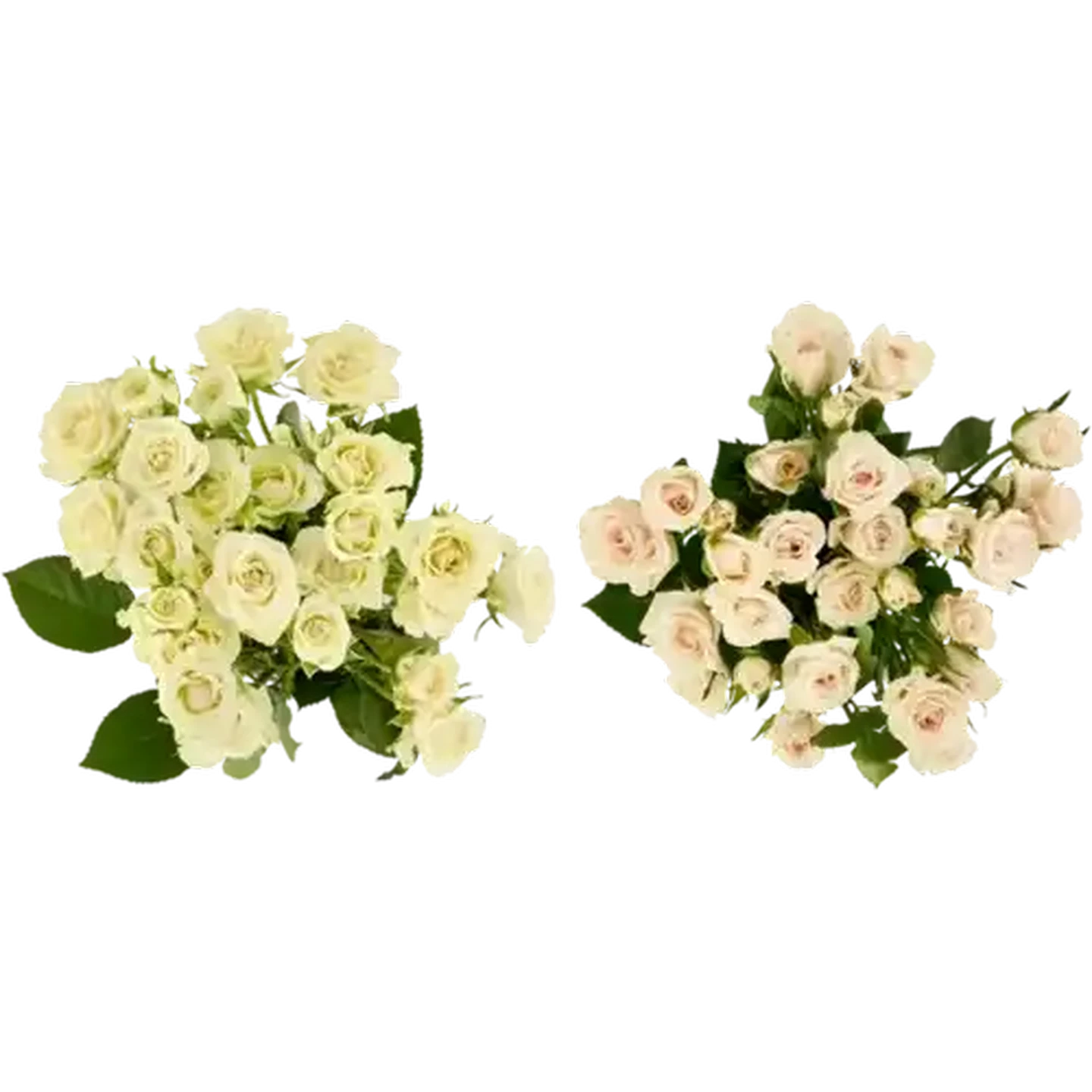 Checkers Sixty60 | Flower Spray Rose Bouquet