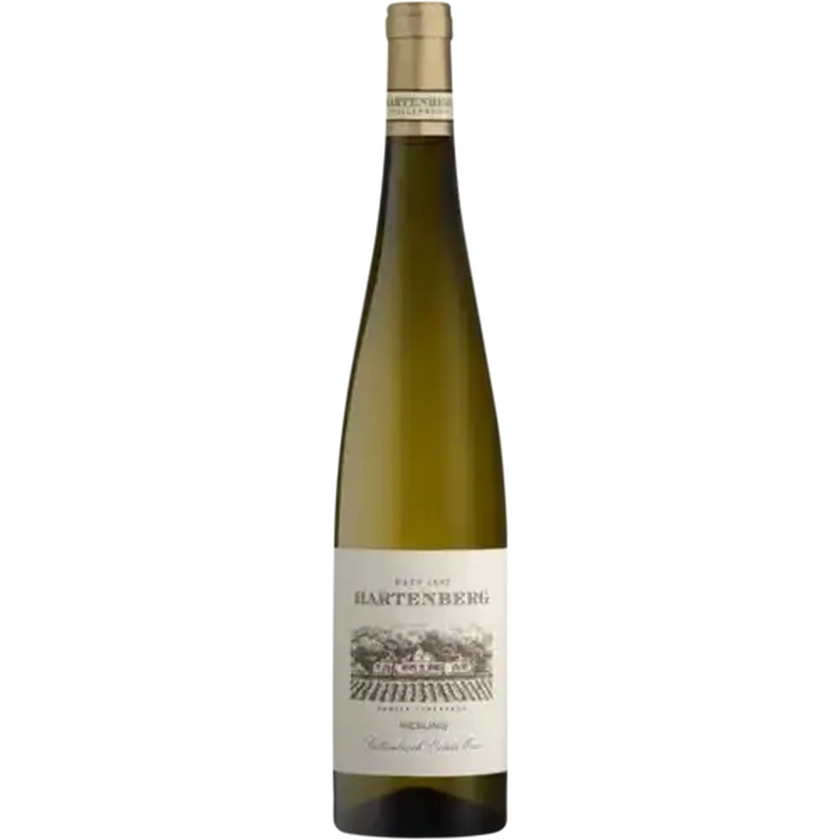 Checkers Sixty60 | Hartenberg Riesling Bottle 750ml