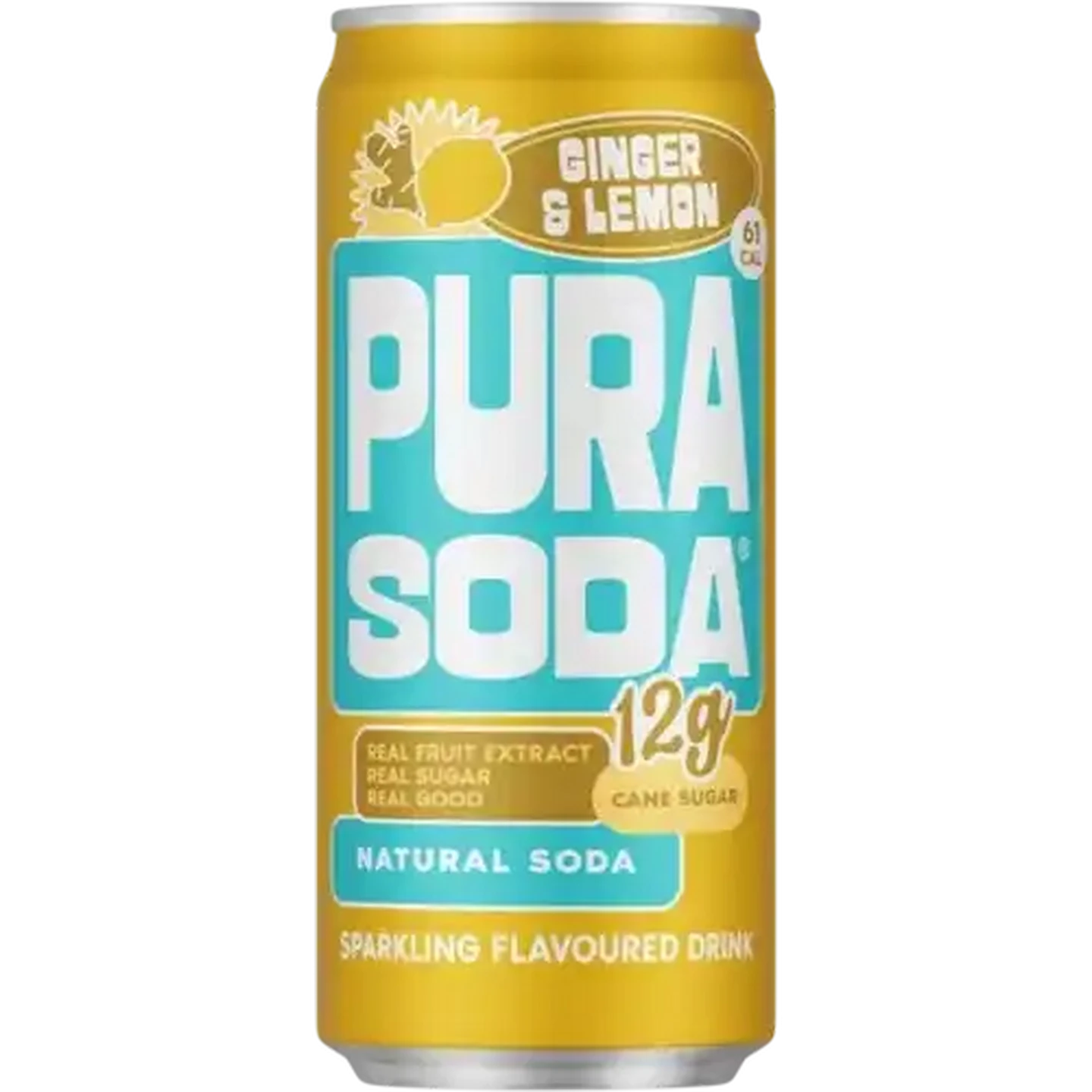 Checkers Sixty60 | PURA Soda Ginger & Lemon Flavoured Sparkling