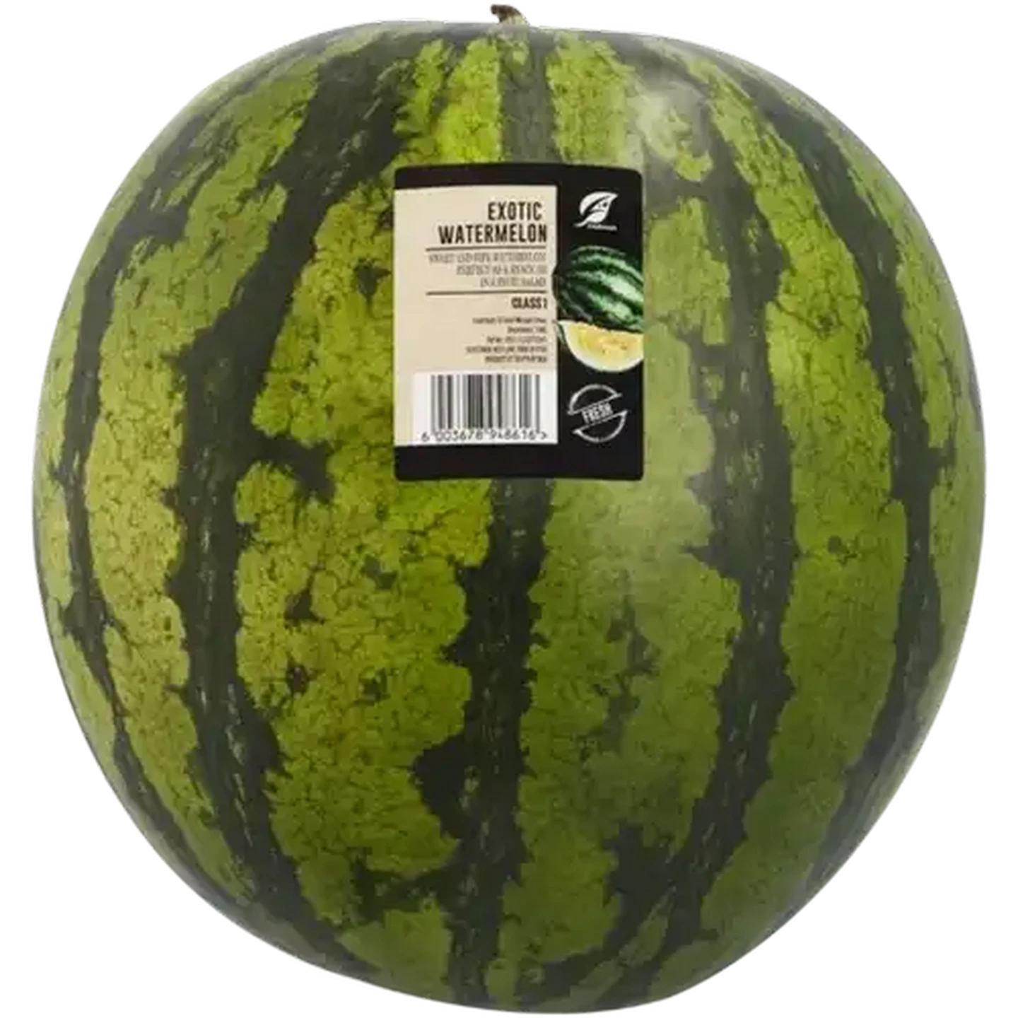 Checkers Sixty60 | Exotic Watermelon 1s