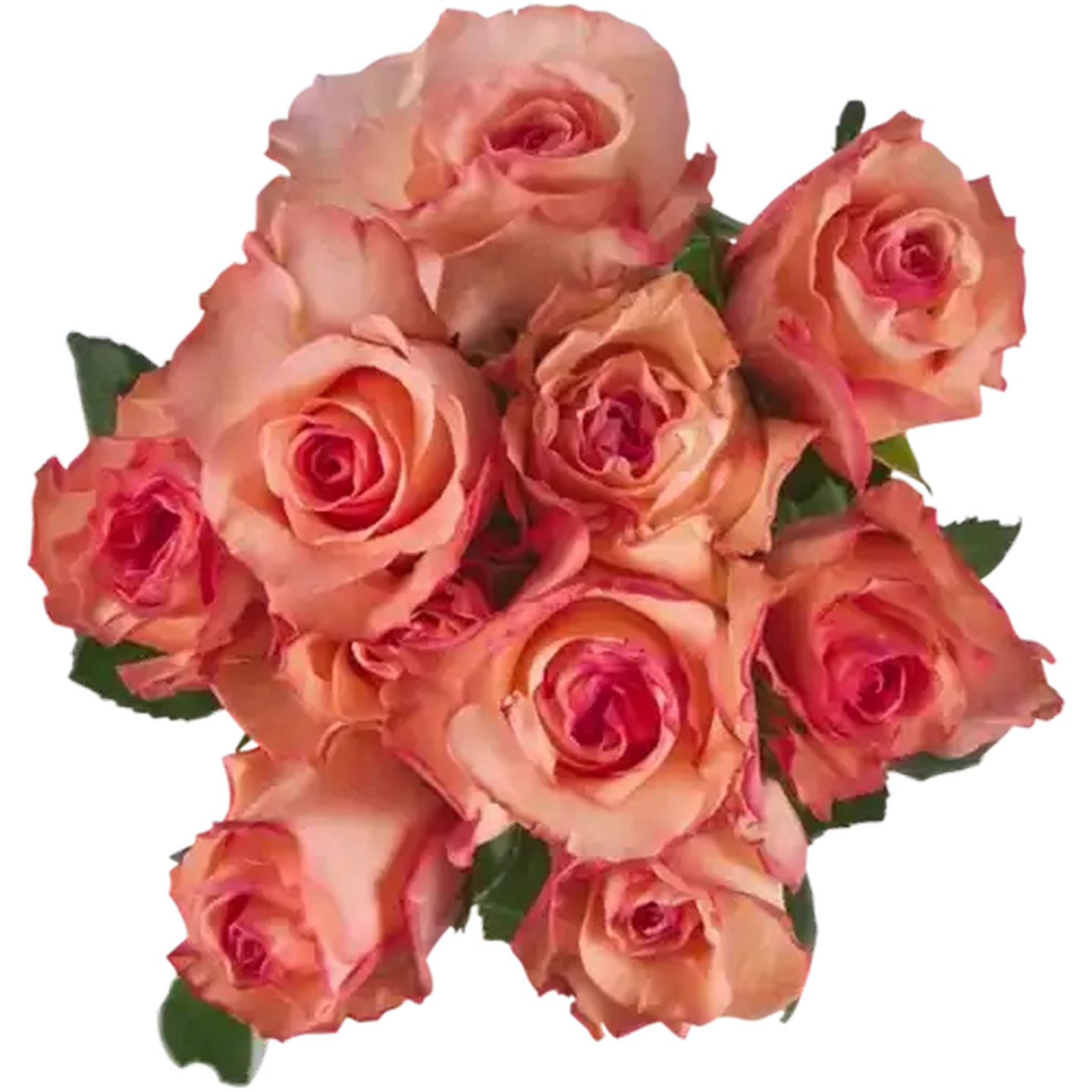 Checkers Sixty60 | Speciality Rose Bouquet 1s (Vase Not Included