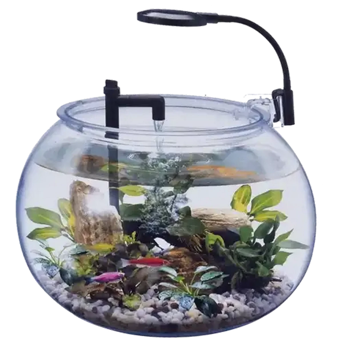 Checkers Sixty60 | Daro Aquarium Fish Bowl 12L