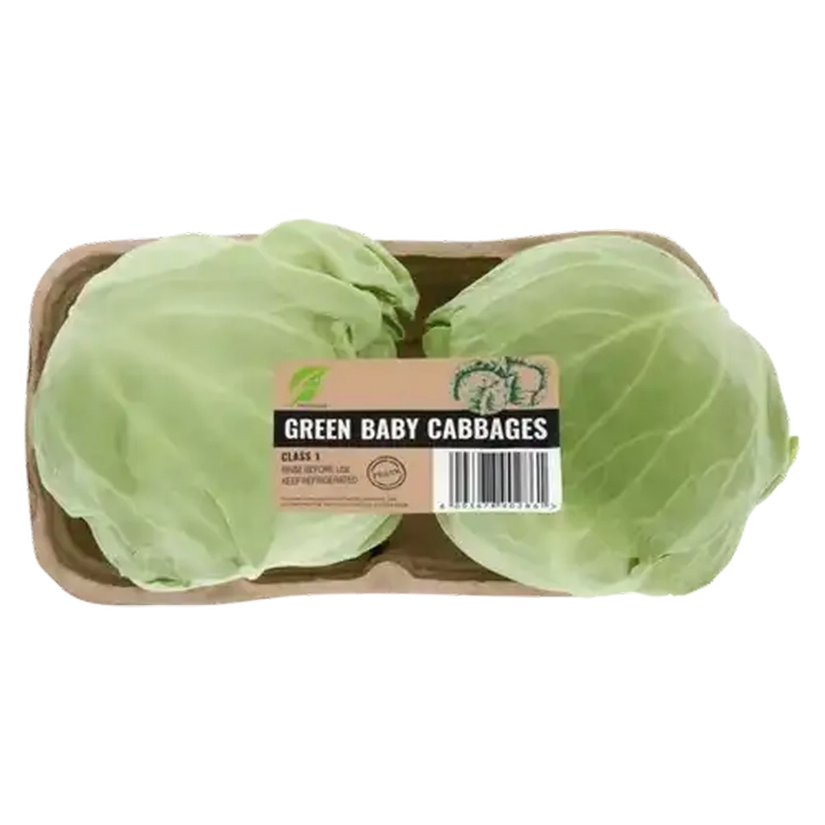 ニャーKBショートポスター11パック Checkers Sixty60 | Green Baby Cabbage 2s