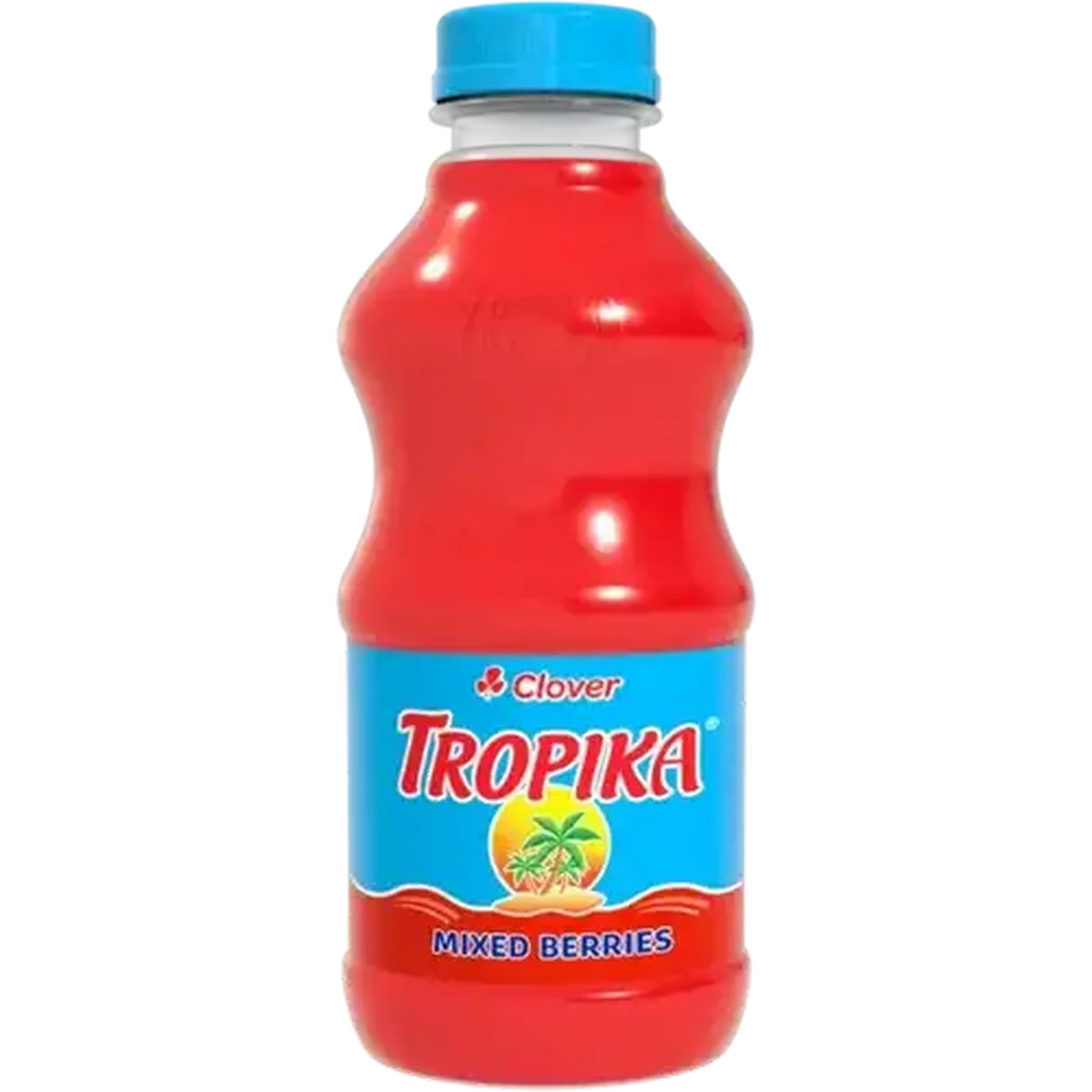 T. ‘Domingos Funckiana' T'S TROPICALS silo-product-image-v2-