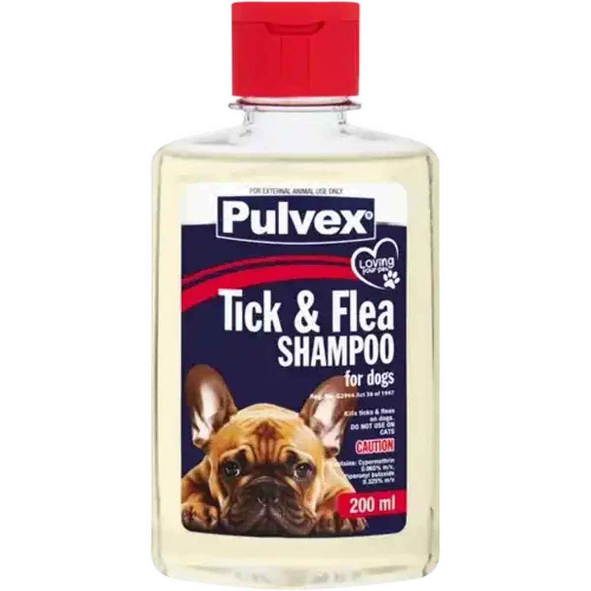 洋楽 Rup Dog 洋楽 Rup Dog 洋楽 Rup Dog Faux Leather Dog Doorstop