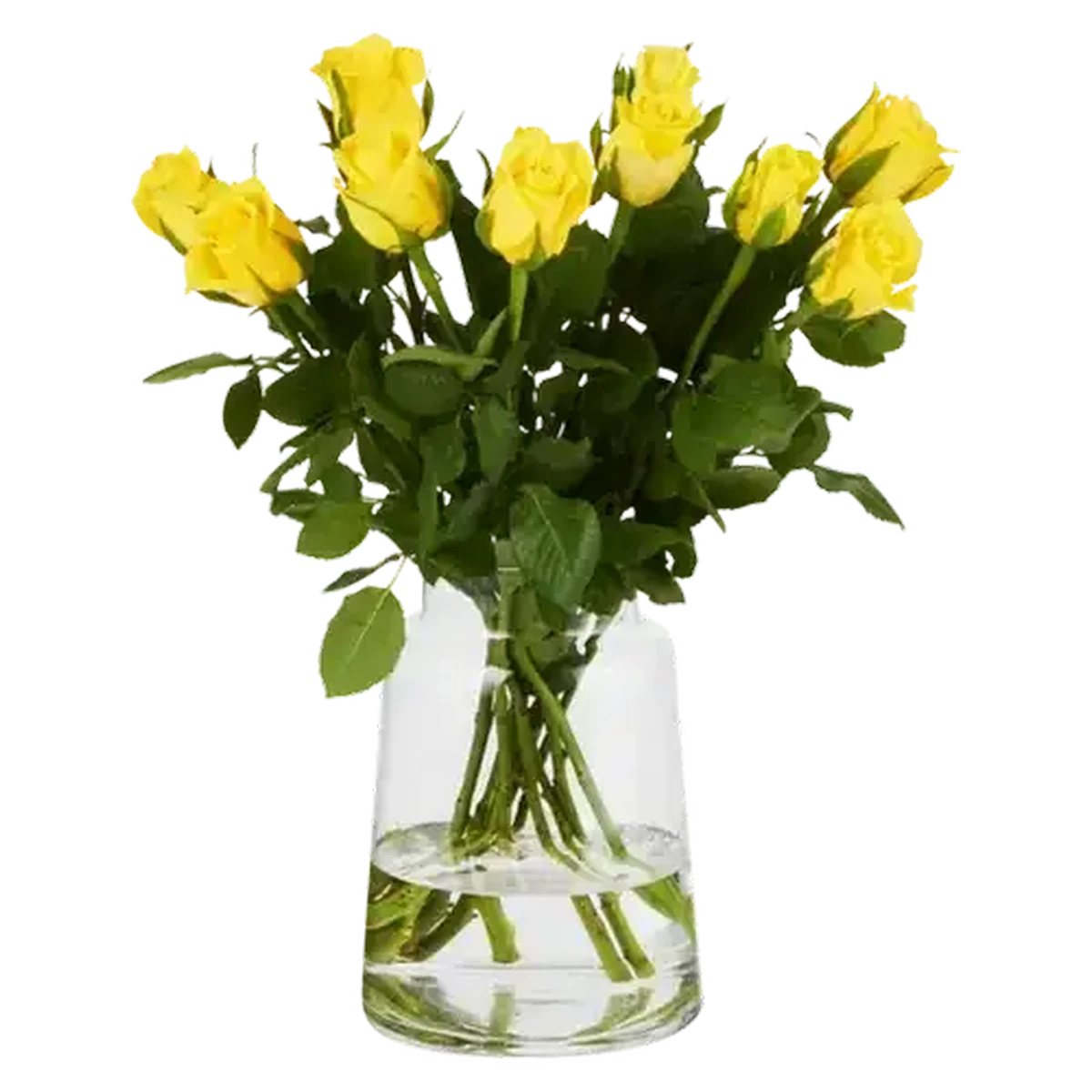 Checkers Sixty60 | Yellow Flowers Rose Bunch (Vase Not Included)