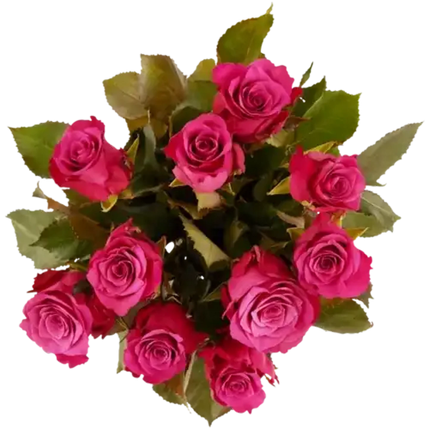 Checkers Sixty60 | Cerise Roses (Vase Not Included)