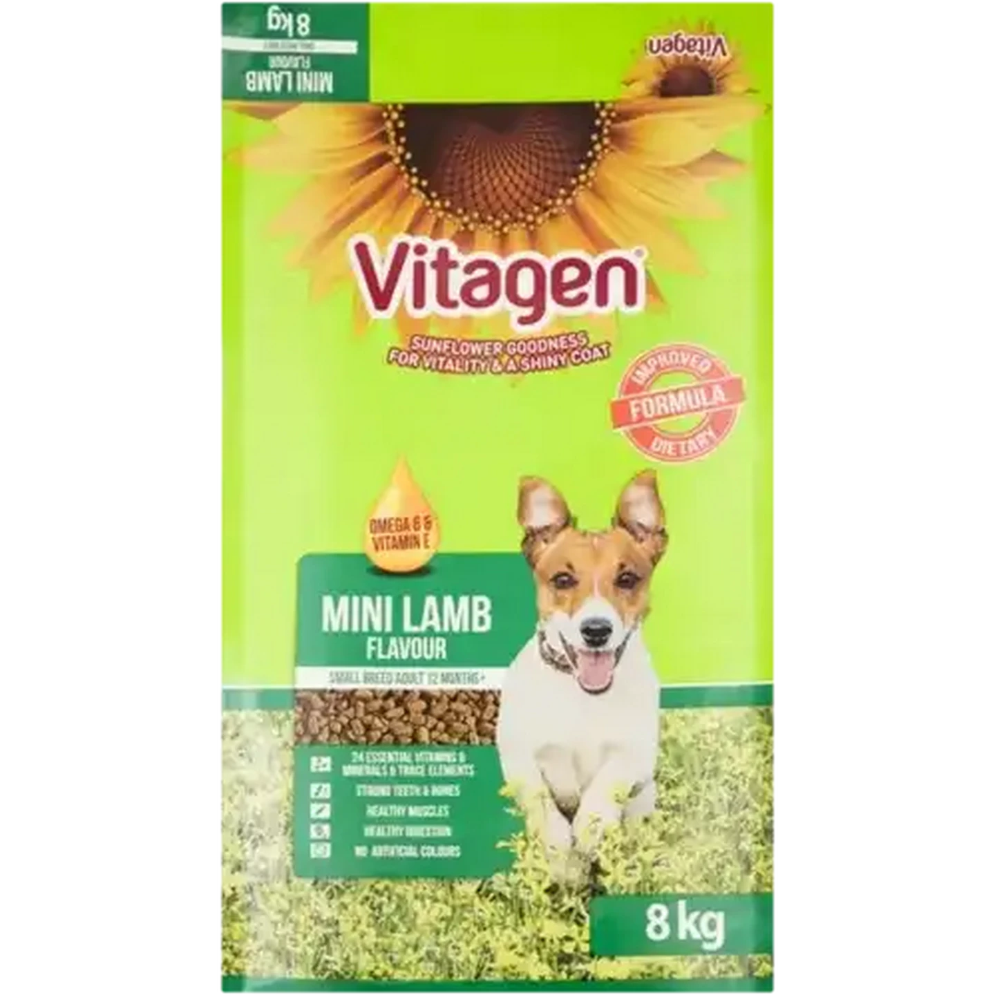 Checkers Sixty60 | Vitagen Mini Lamb Flavour Small Adult Dry Dog