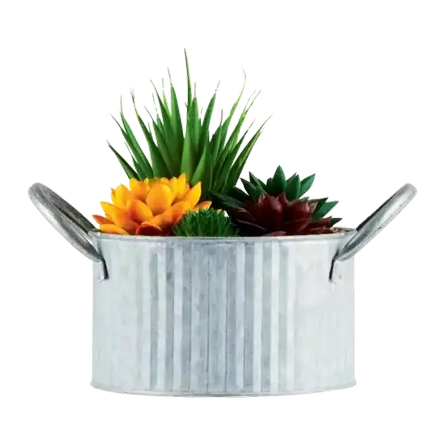 Image of Plant In Metal Pot (Colour May Vary)
