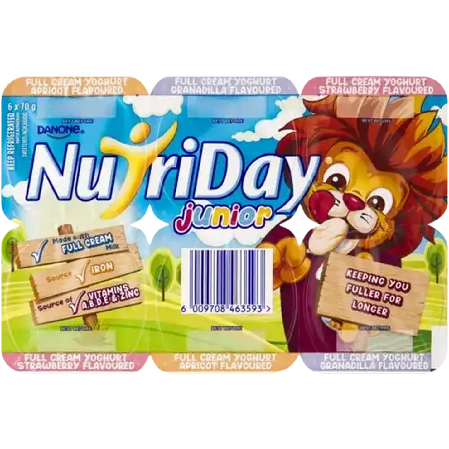Checkers Sixty60 | Danone NutriDay Junior Assorted Full Cream