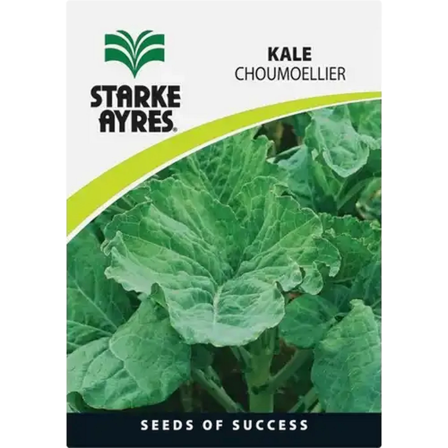 Image of Starke Ayres Kale Variety Vegetable Seeds