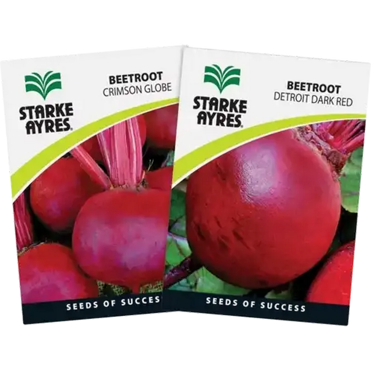 Image of Starke Ayres Beetroot Variety Vegetable Seeds