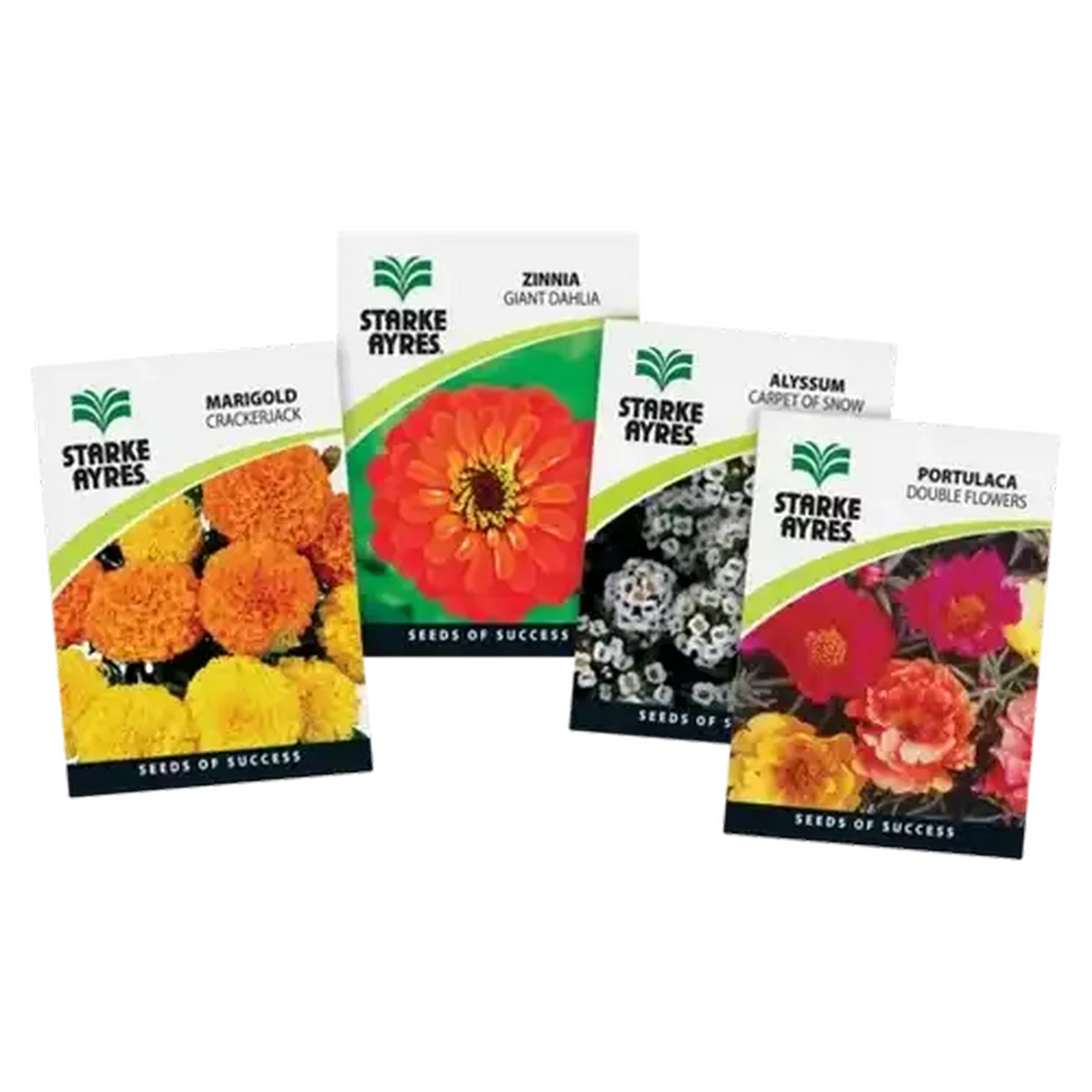 Image of Starke Ayres Variety Garden Summer Flower Seeds (Type May Vary)