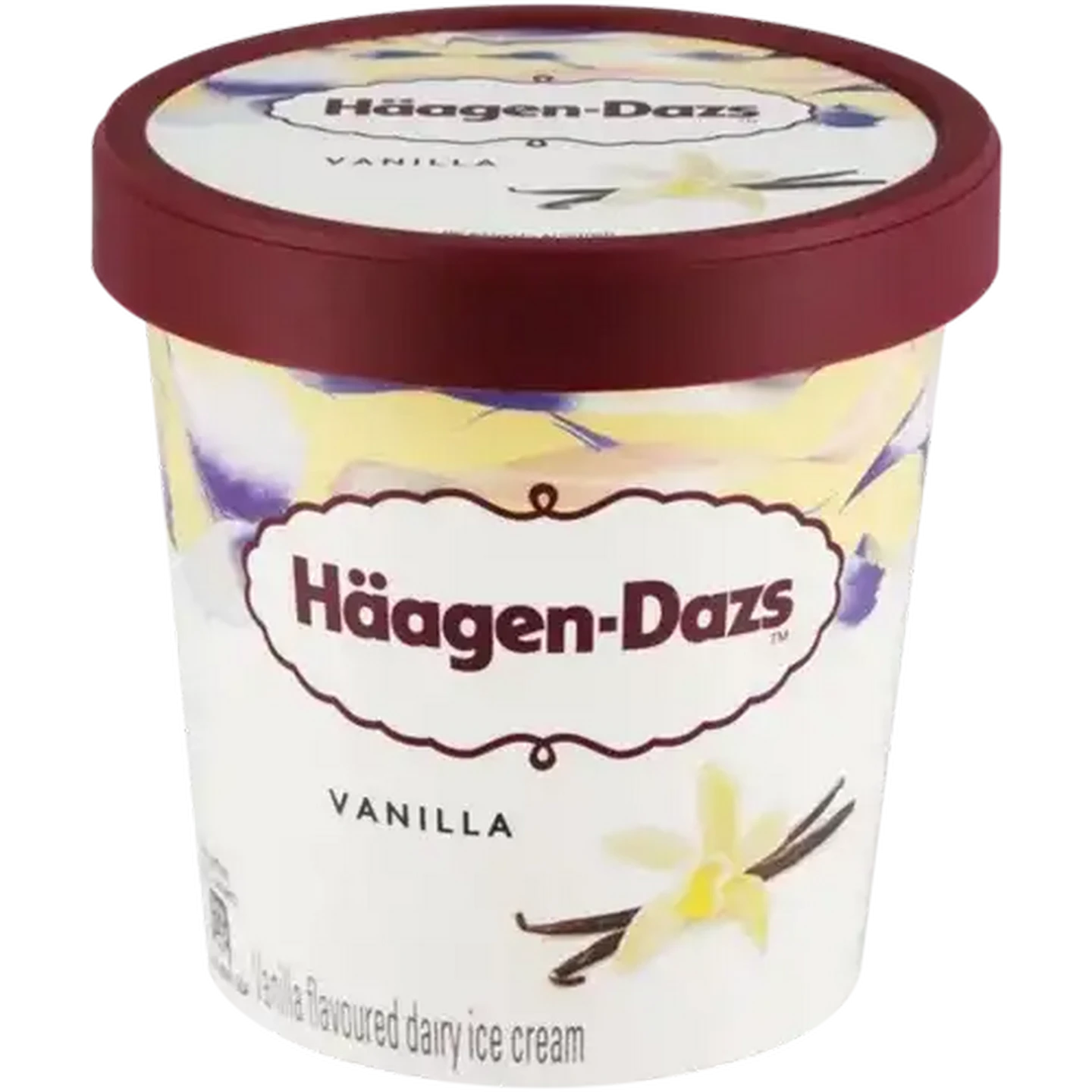 Checkers Sixty60 | Häagen-Dazs Vanilla Dairy Ice Cream 460ml