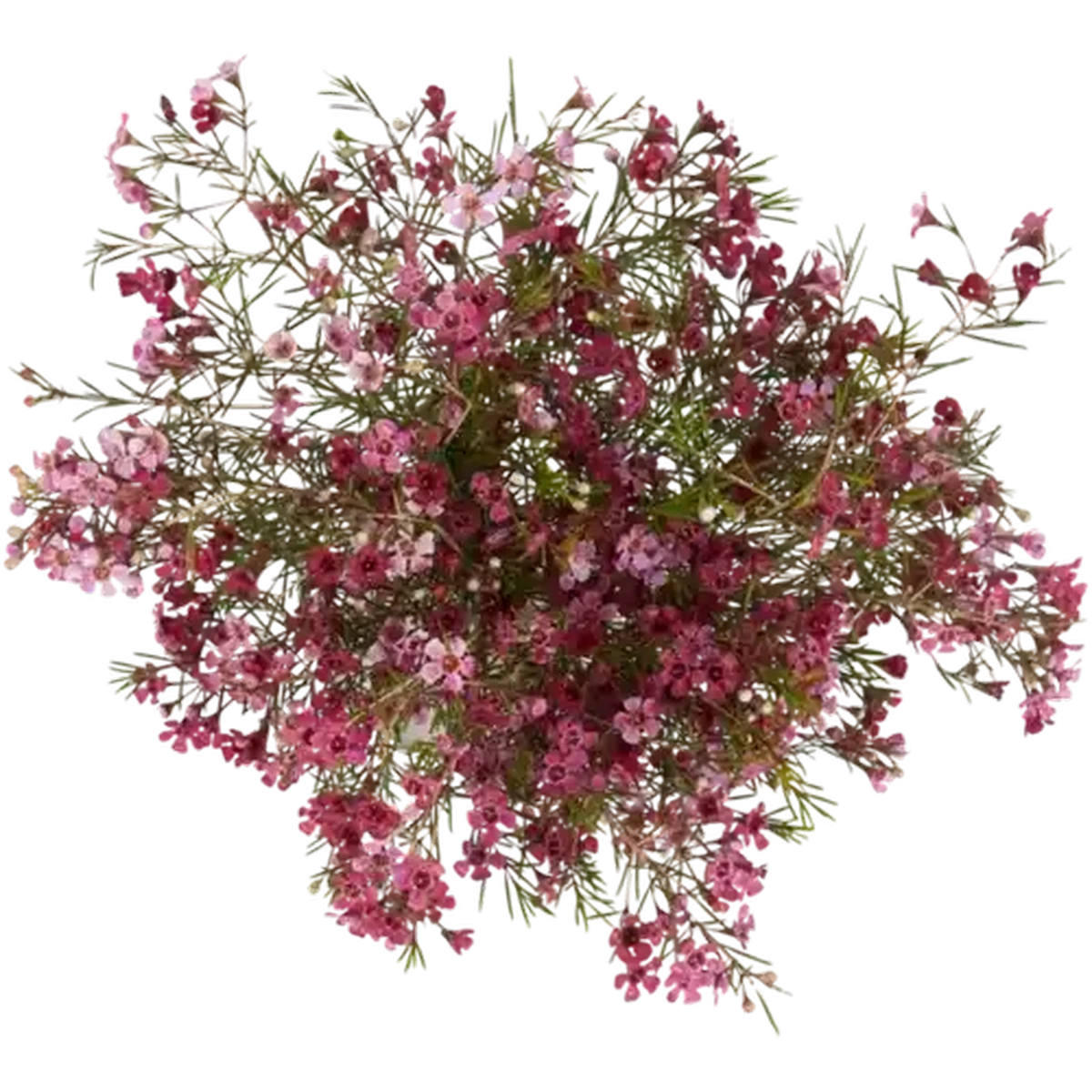 69e75e3b0b8b00e2a21654c7?width