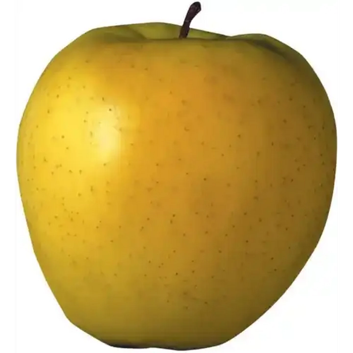 Checkers Sixty60 | Extra Large Golden Delicious Apple