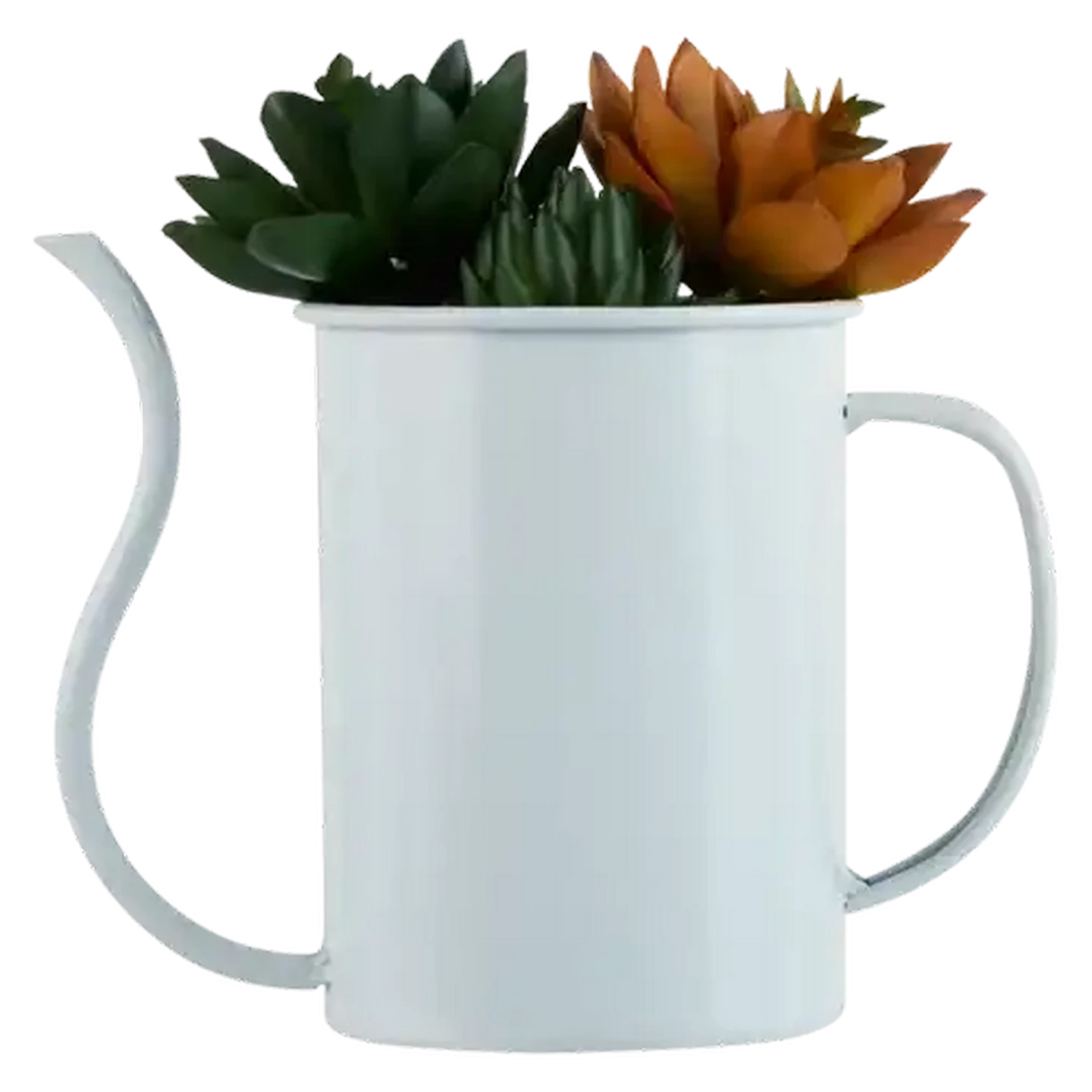 Image of Cactus In White Teapot