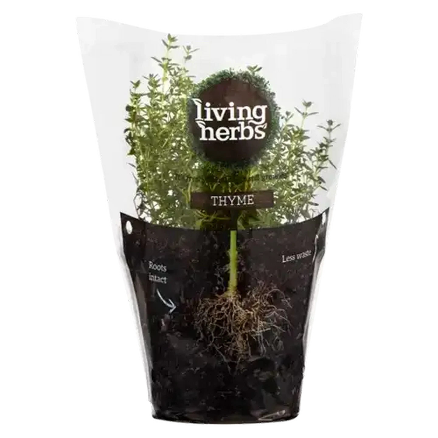 Image of Living Herbs Thyme