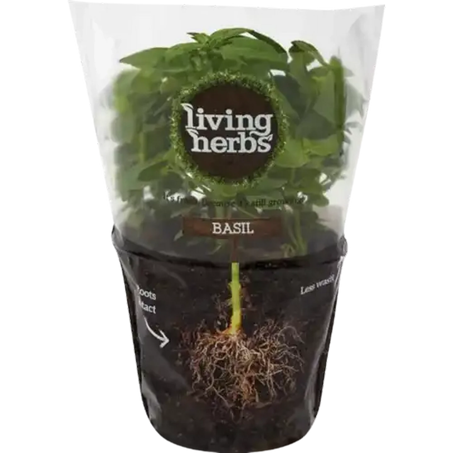 Image of Living Herbs Basil