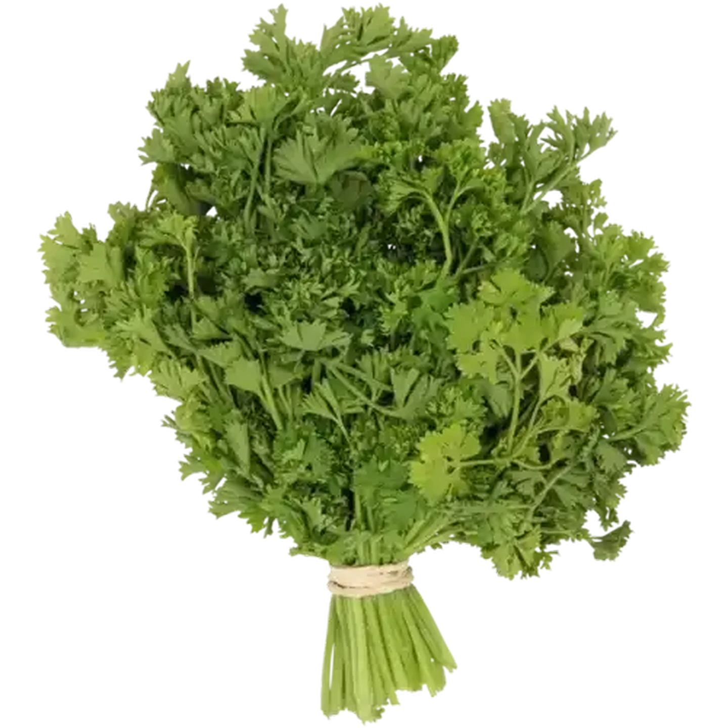 Image of Dhania Herbs Bunch 1s