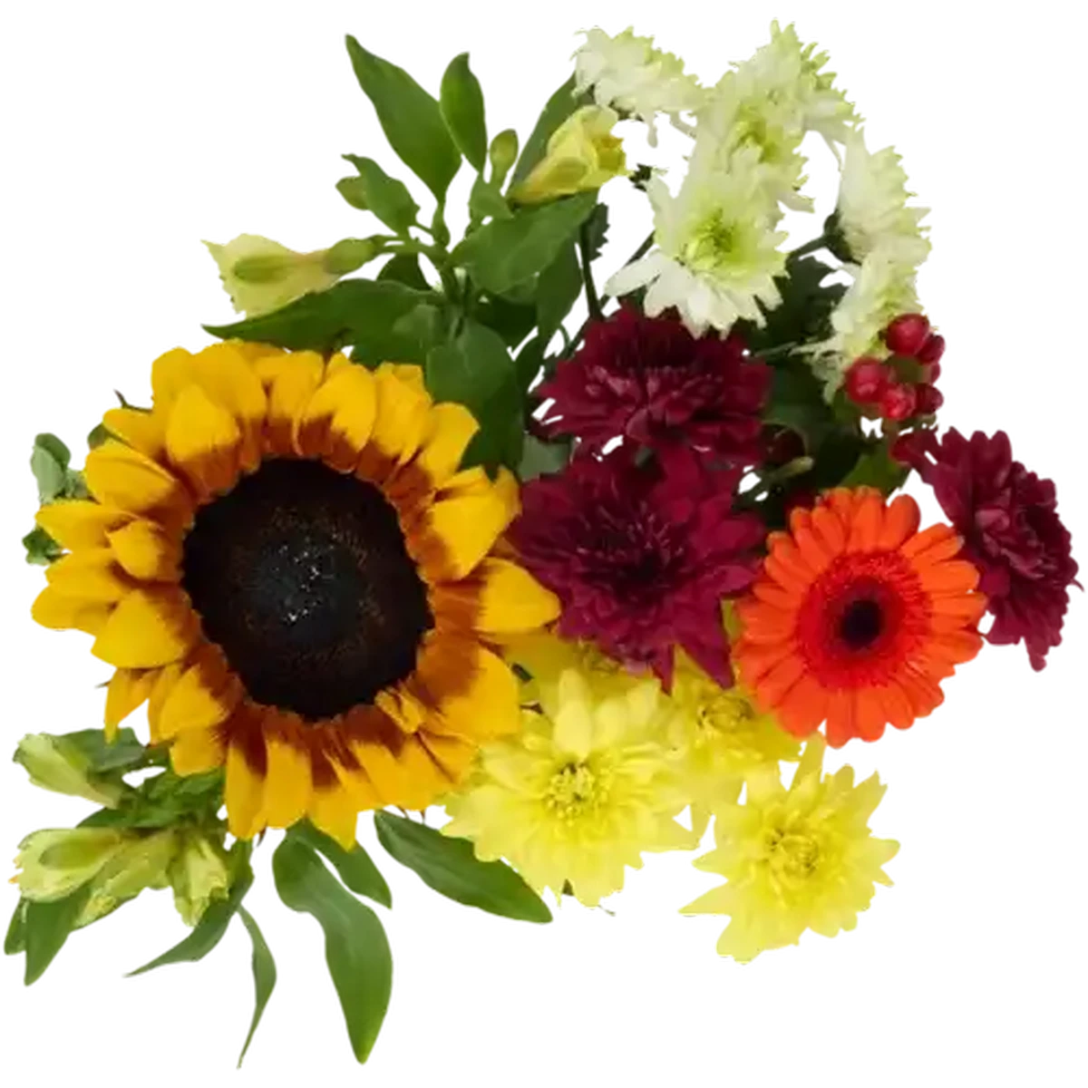 Checkers Sixty60 | Safari Sunset Flower Bouquet