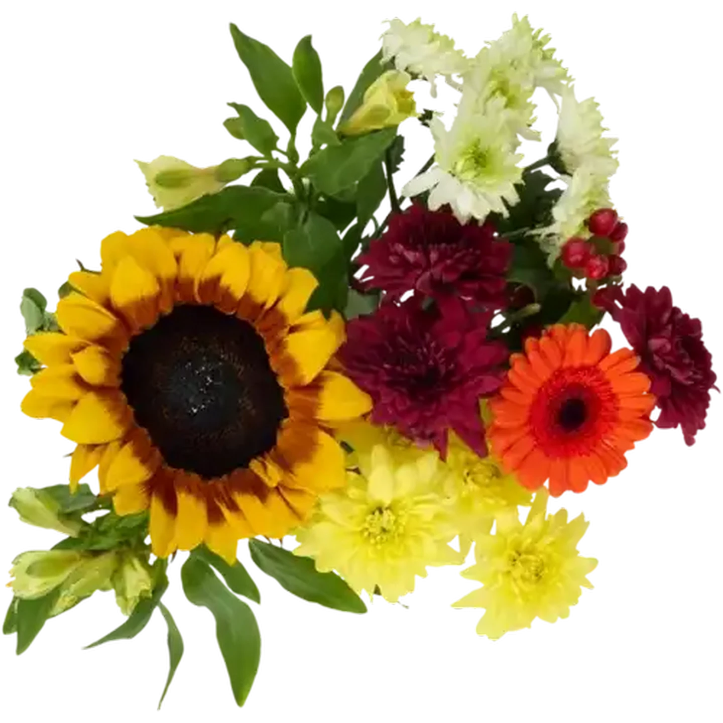 flower ページ Checkers Sixty60 | Safari Sunset Flower Bouquet