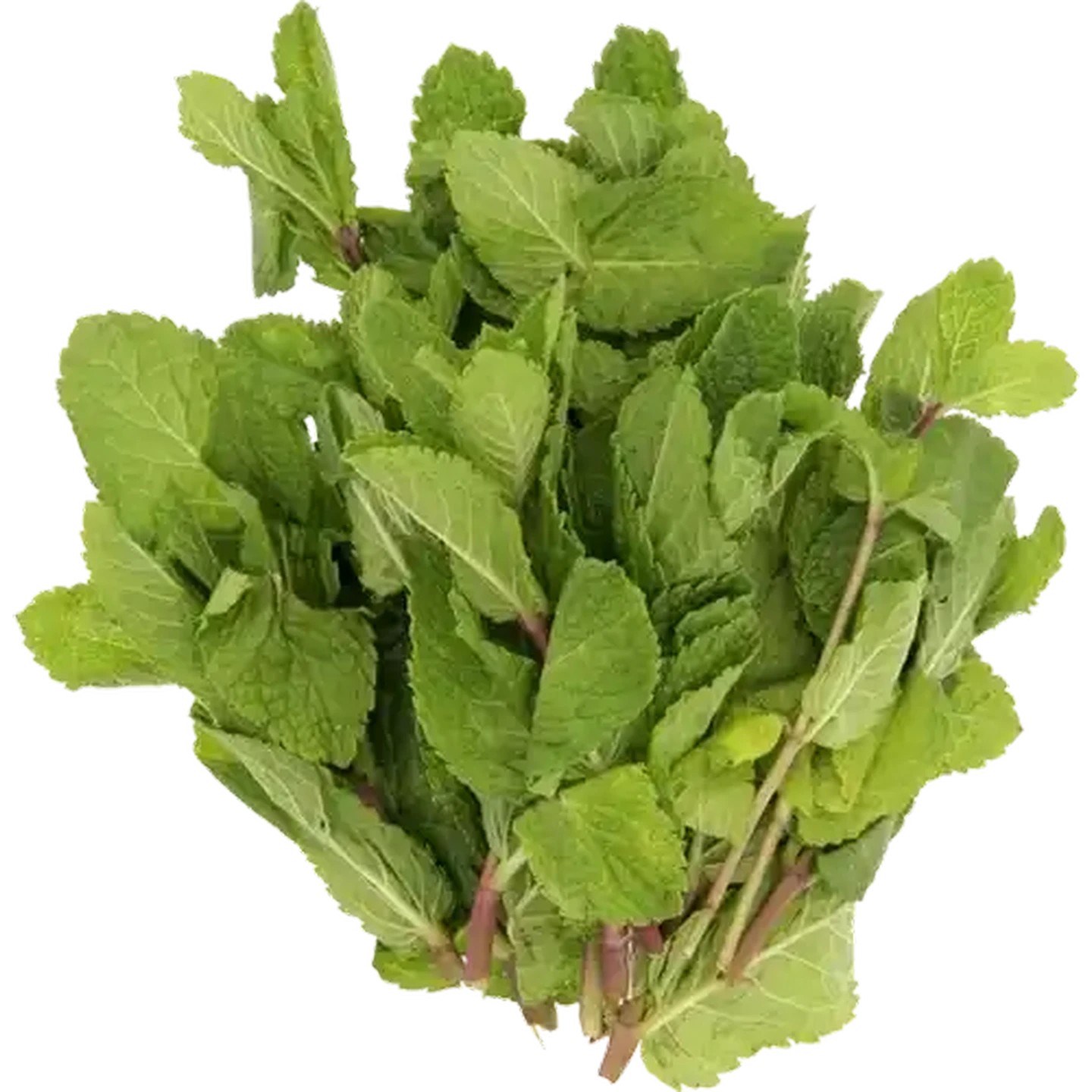 Image of Mint Bunch