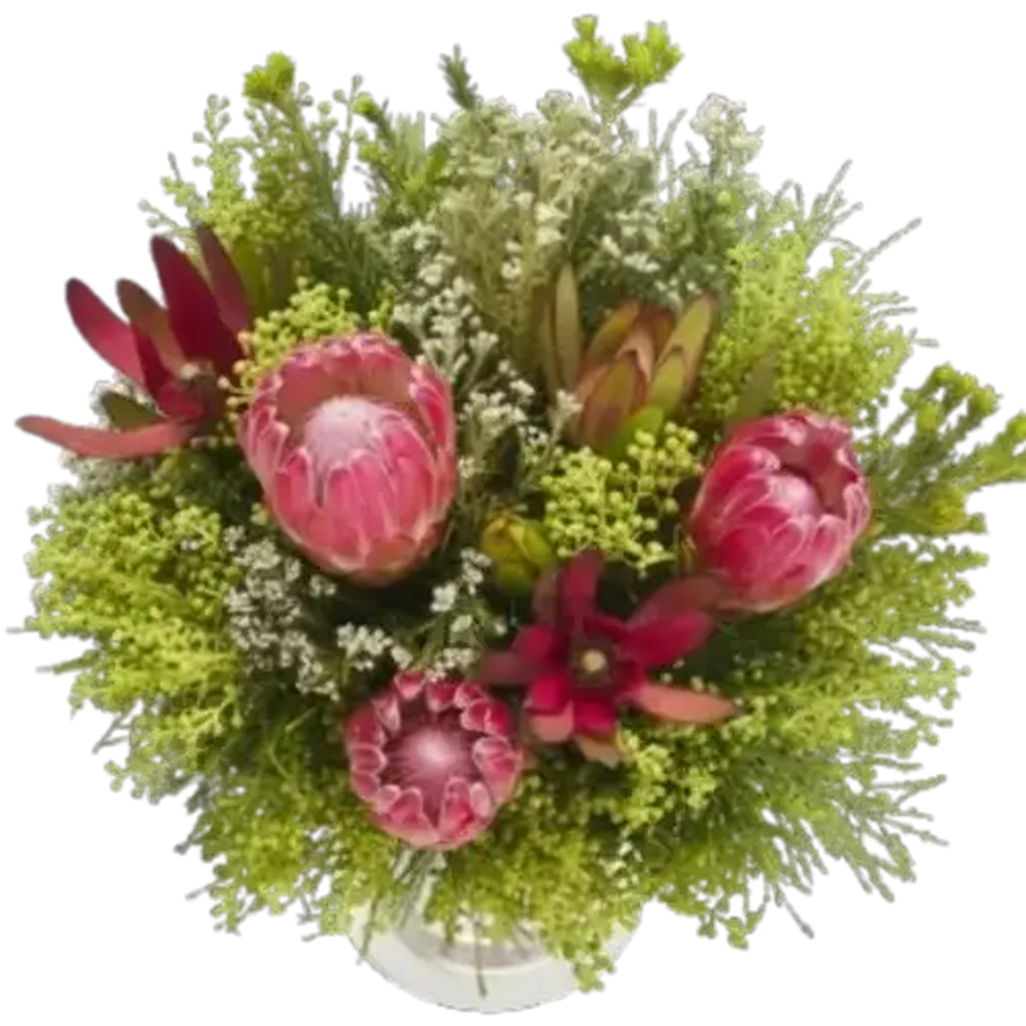 Checkers Sixty60 | Protea Flowers Bouquet (Vase Not Included)