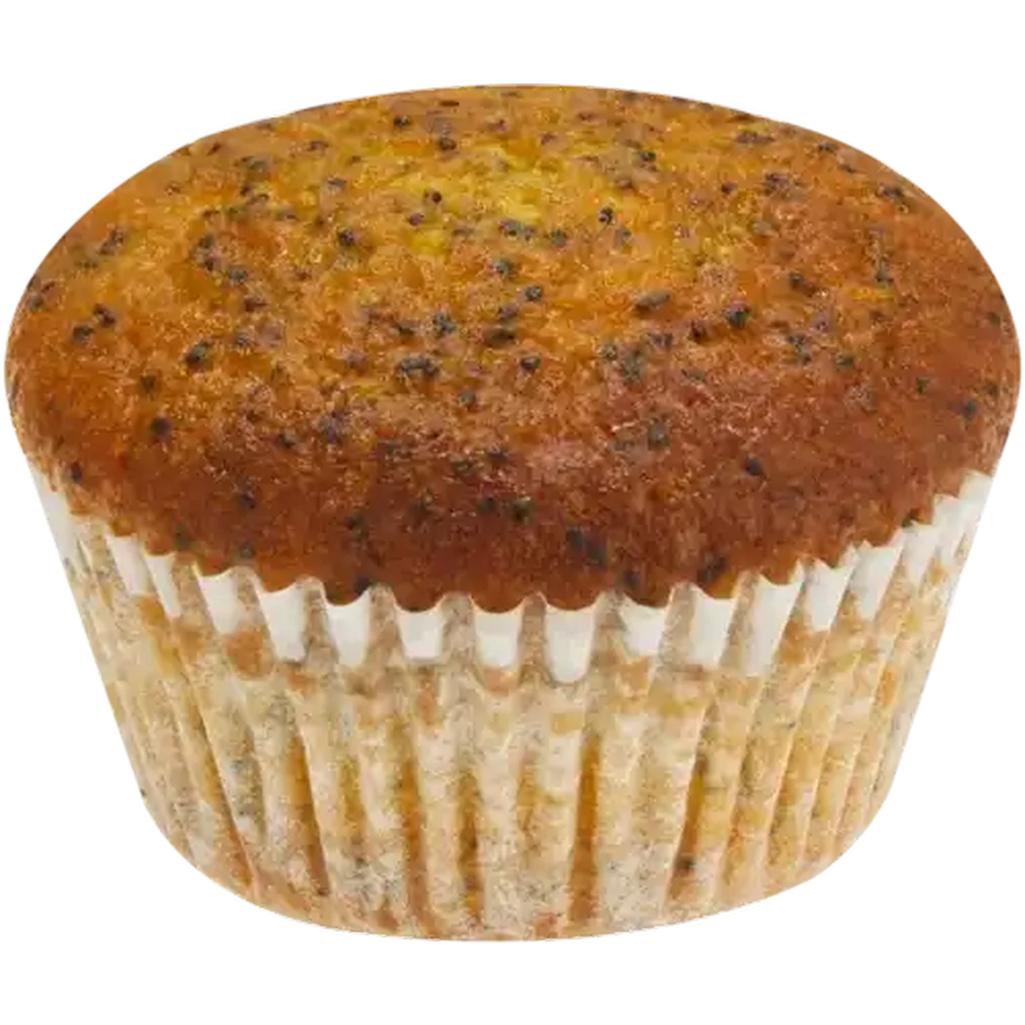Image of Lemon & Poppy Seed Muffin