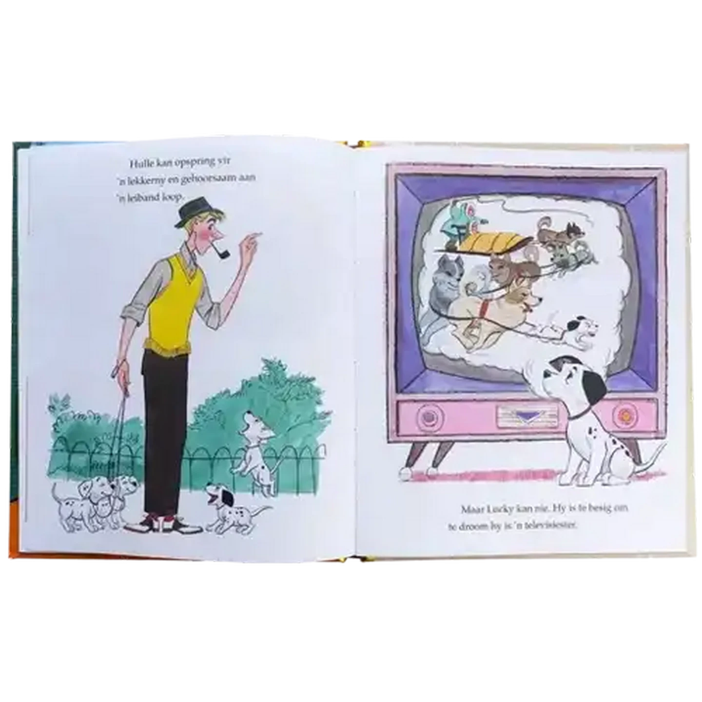 Checkers Sixty60 | Disney Skatkis-Stories Afrikaanse Leesboek