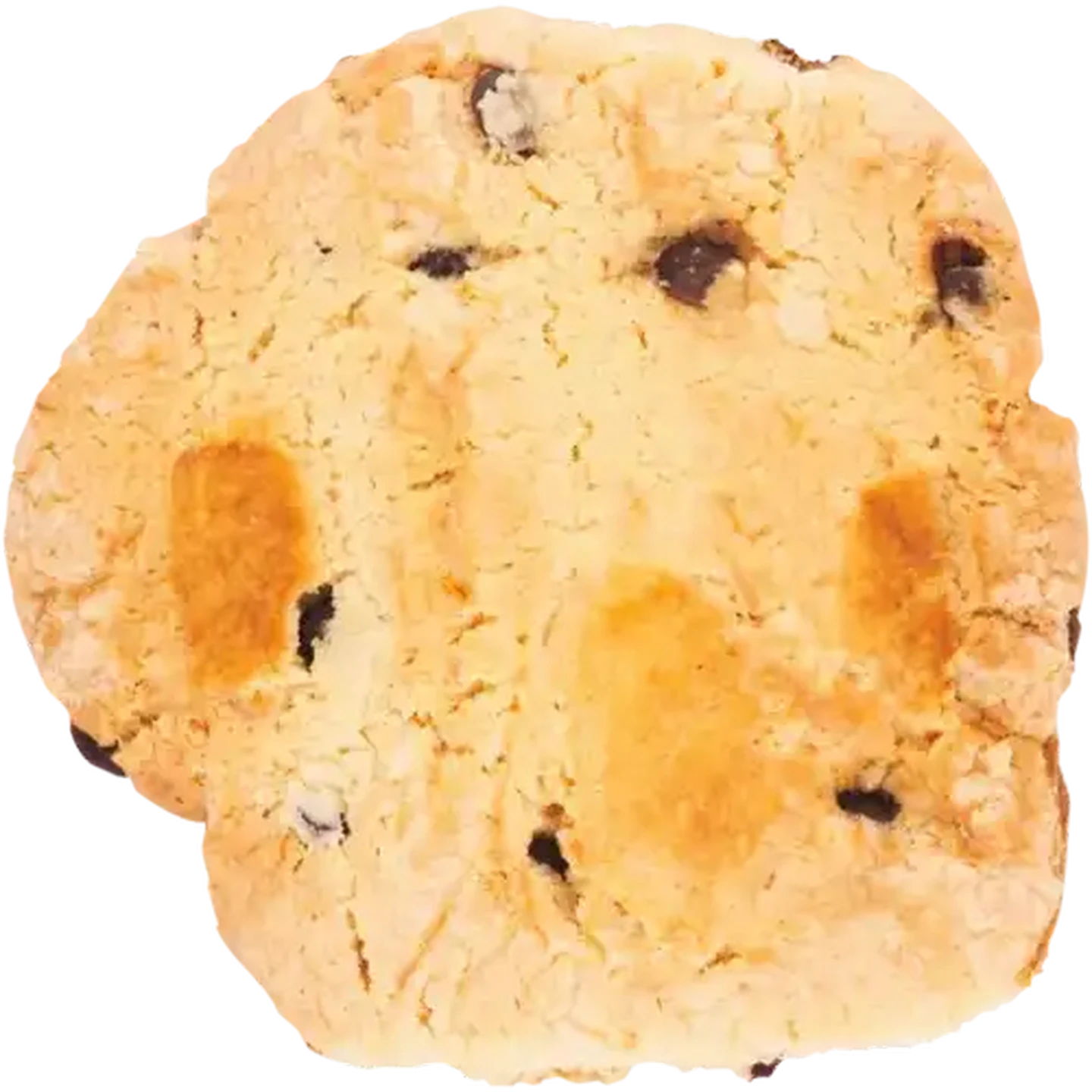 Image of Large Chocolate Chip Cookie