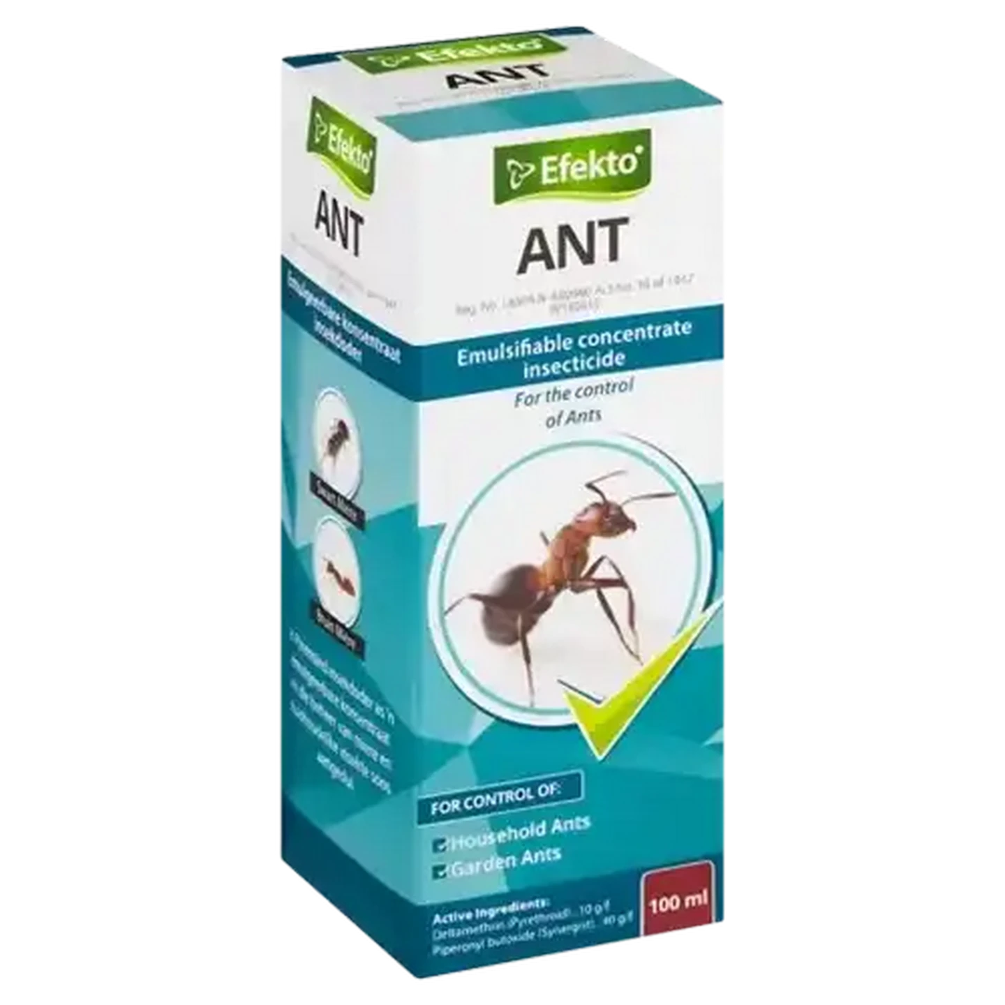 Checkers Sixty60 | Efekto Ant Emulsifiable Concentrate Insecticide