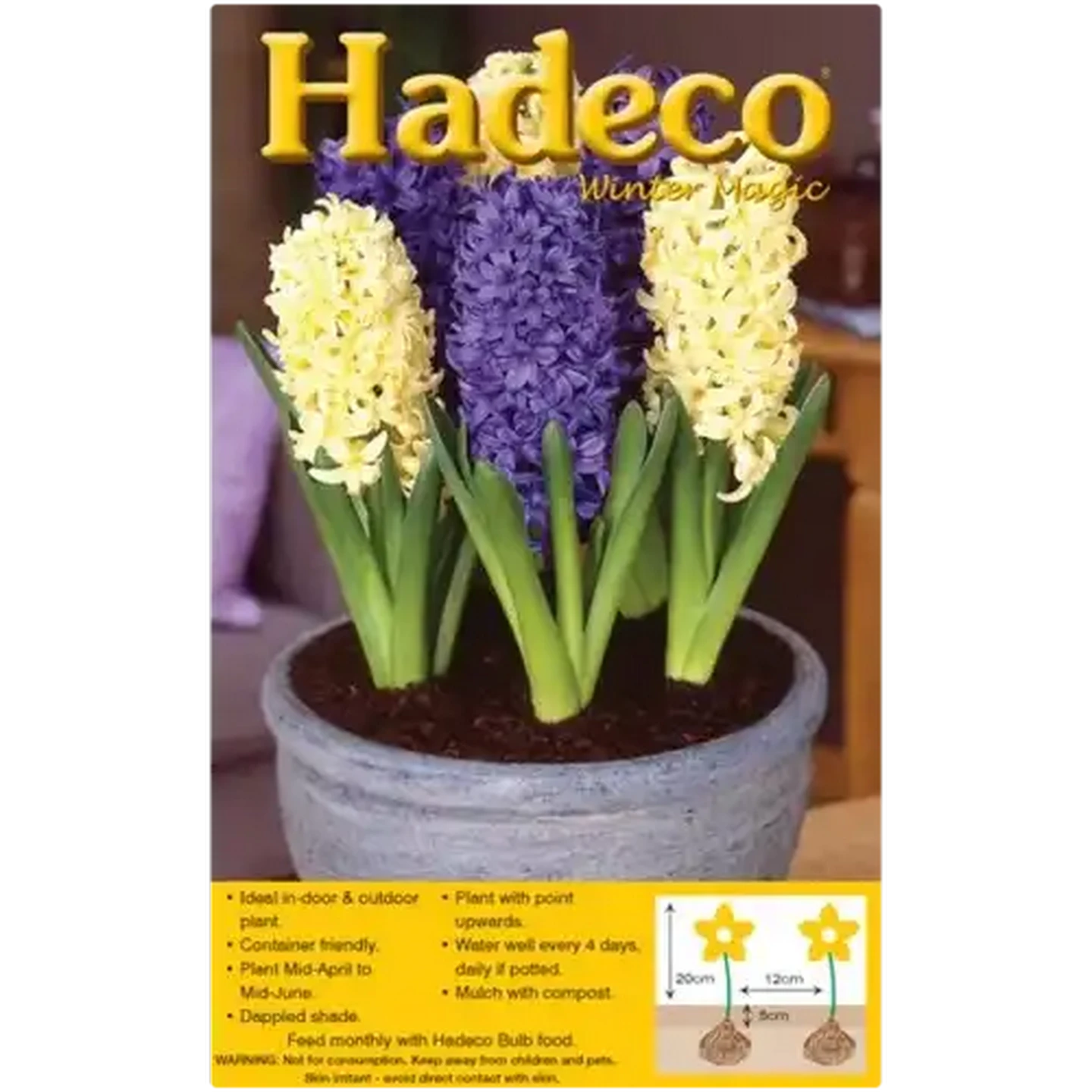 Image of Hadeco Mixed Hyacinth Bulbs 4 Pack