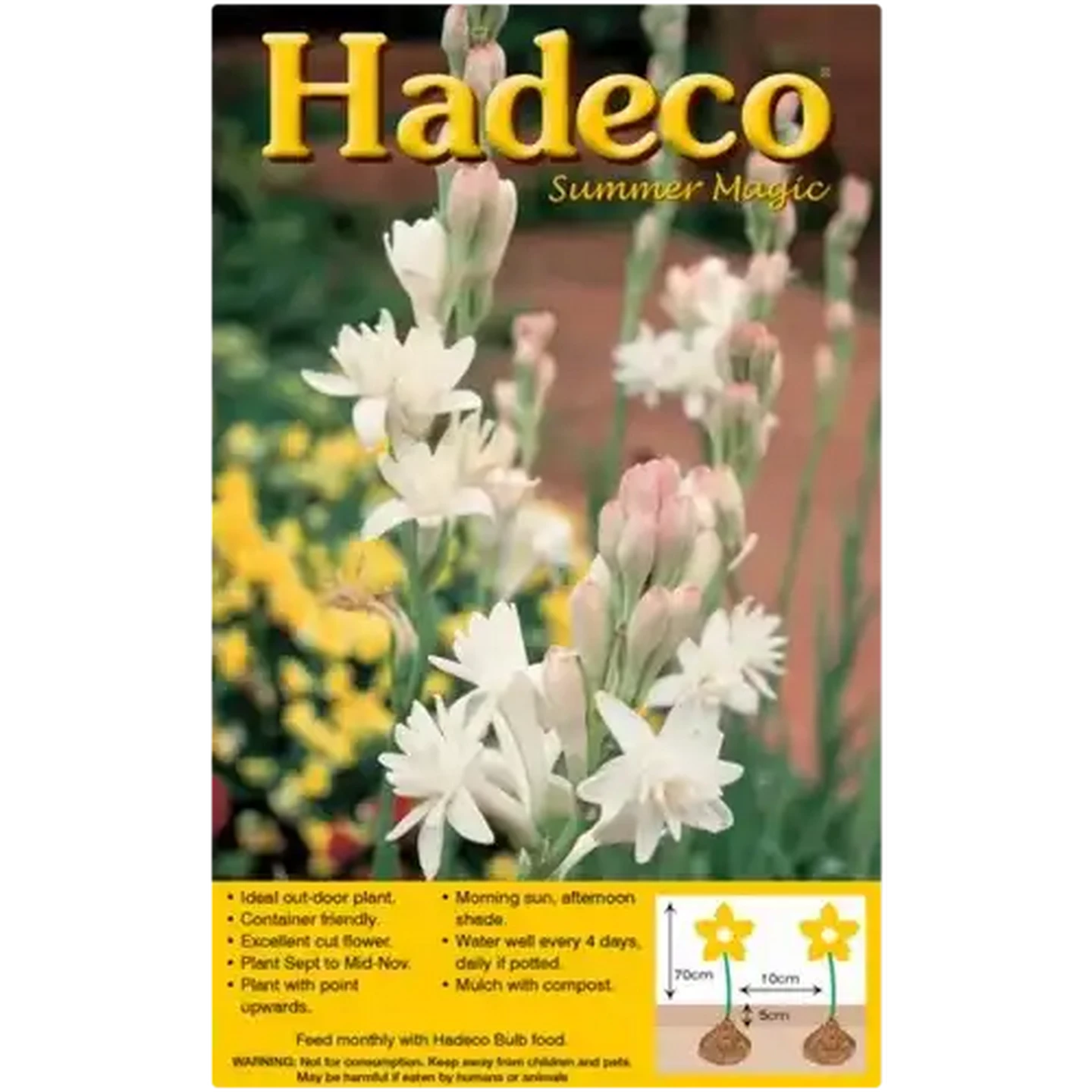 Image of Hadeco Summer Magic The Pearl Polianthes Bulbs 15 Pack