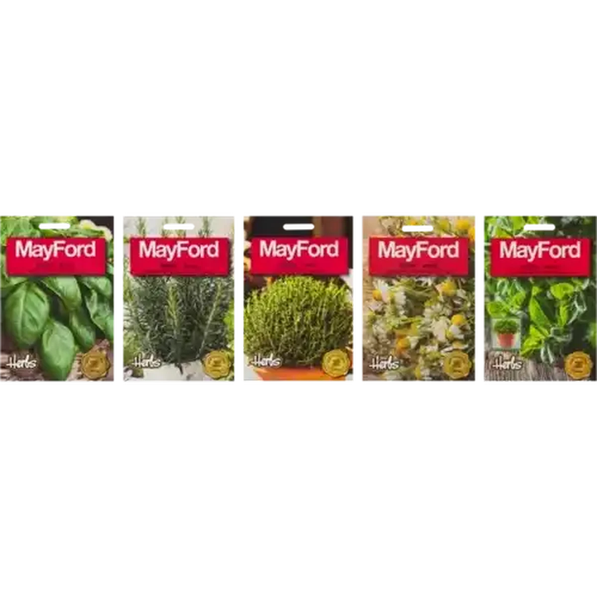 Checkers Sixty60 | Mayford Summer Flower Seeds (Type May Vary)