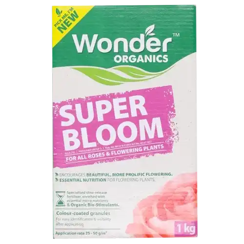 Thumbnail product image - 1