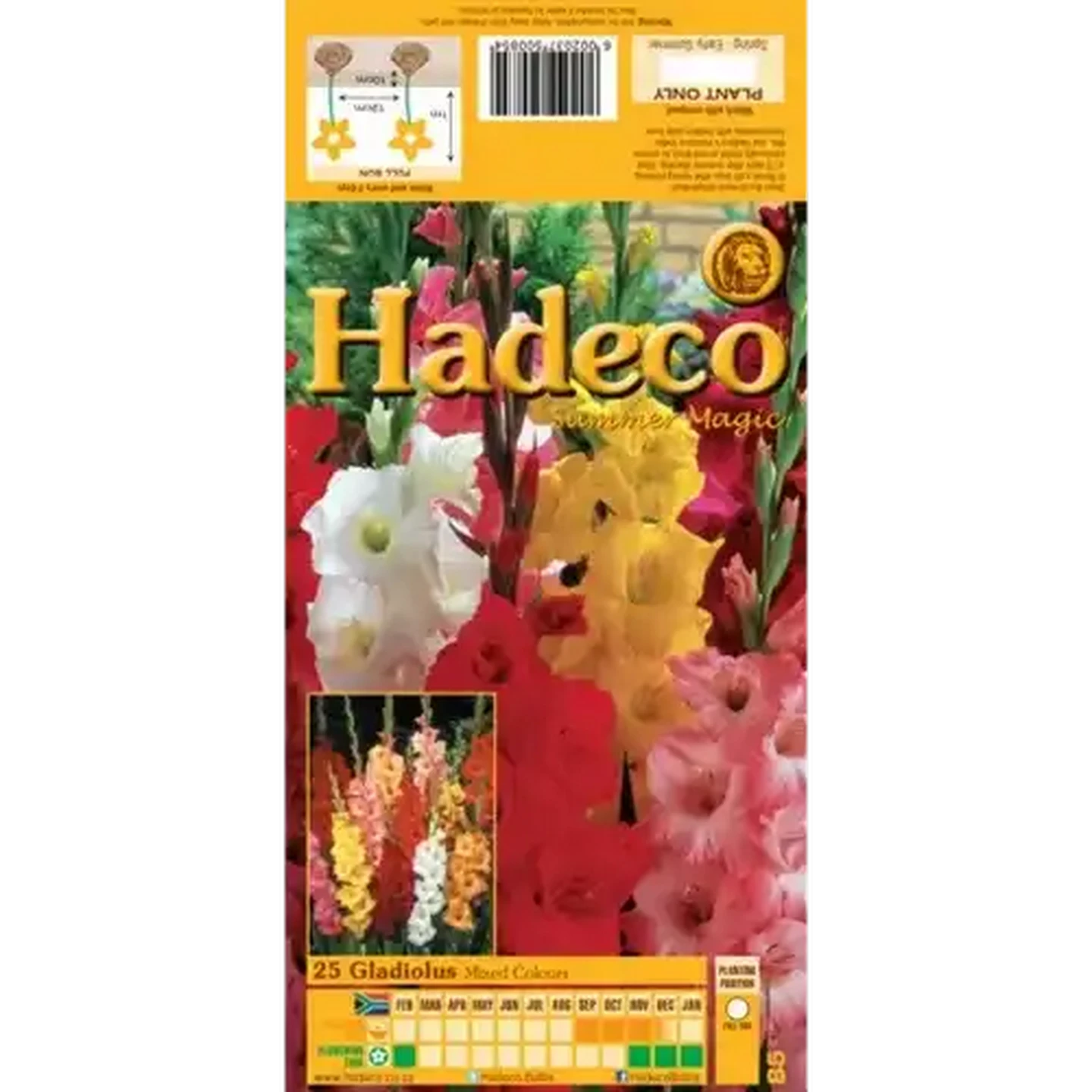 Image of Hadeco Summer Magic Mixed Colours Gladiolus Bulbs 25-Pack