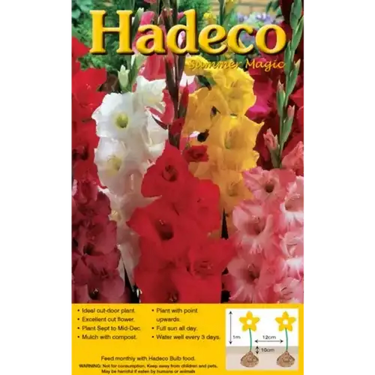Image of Hadeco Summer Magic Mixed Colours Gladiolus Bulbs 25-Pack