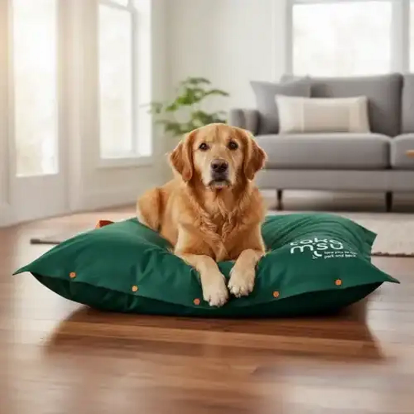 Checkers Sixty60 | Dog's Life Takamisu Monotone Green Dog Cushion