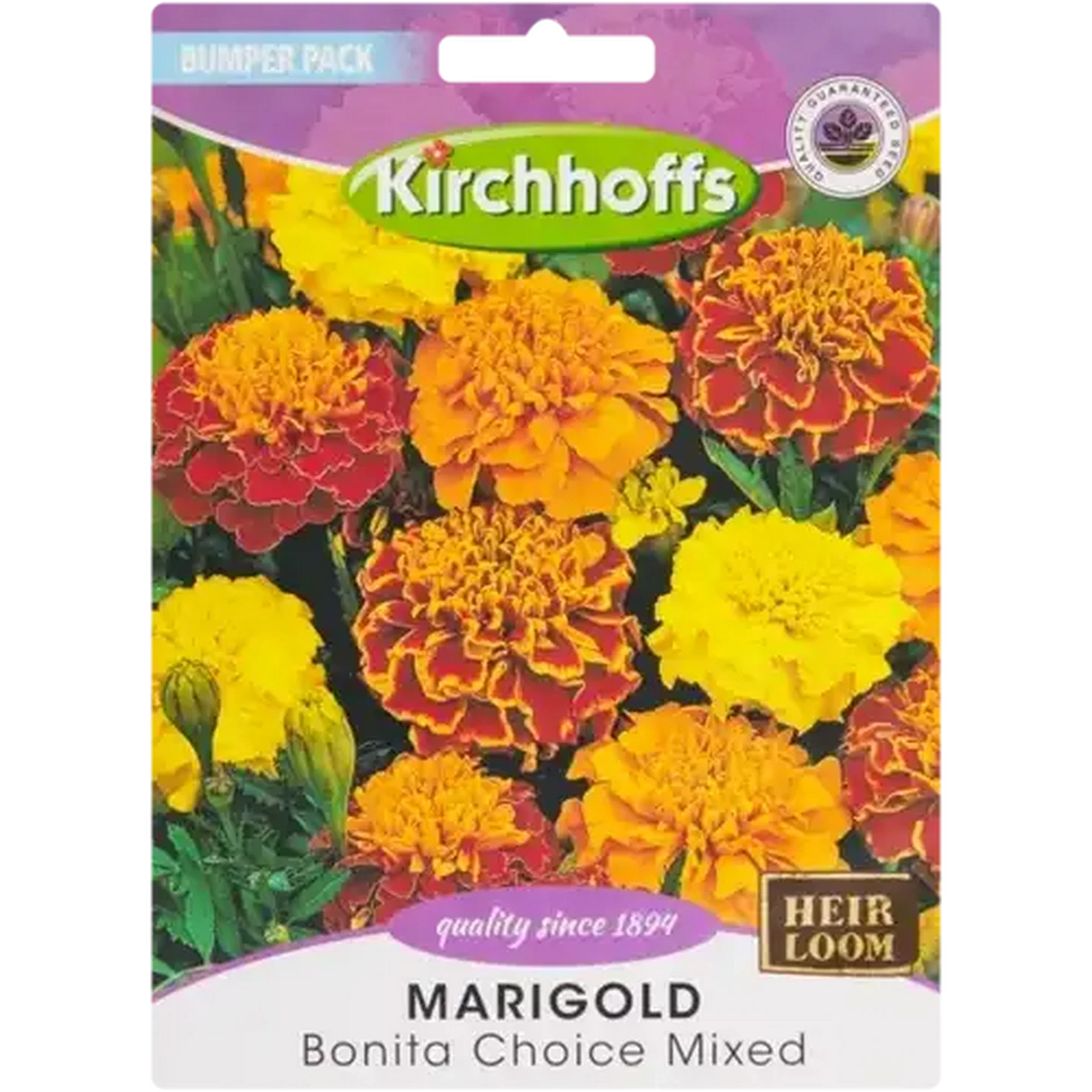 Image of Kirchhoffs Bonita Choice Marigold Seeds